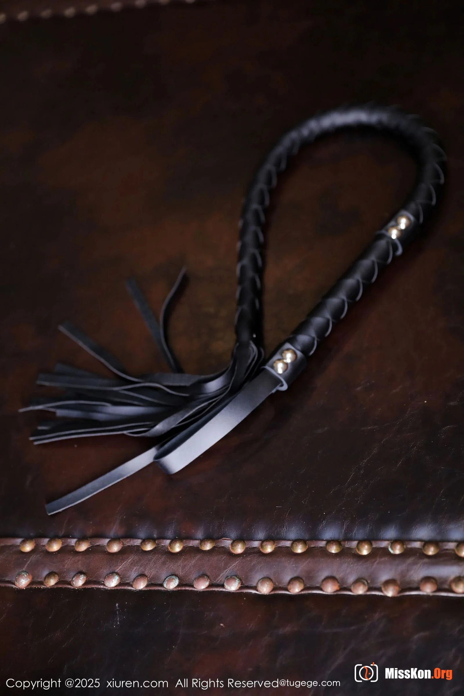 Little barbarian - Photo 8