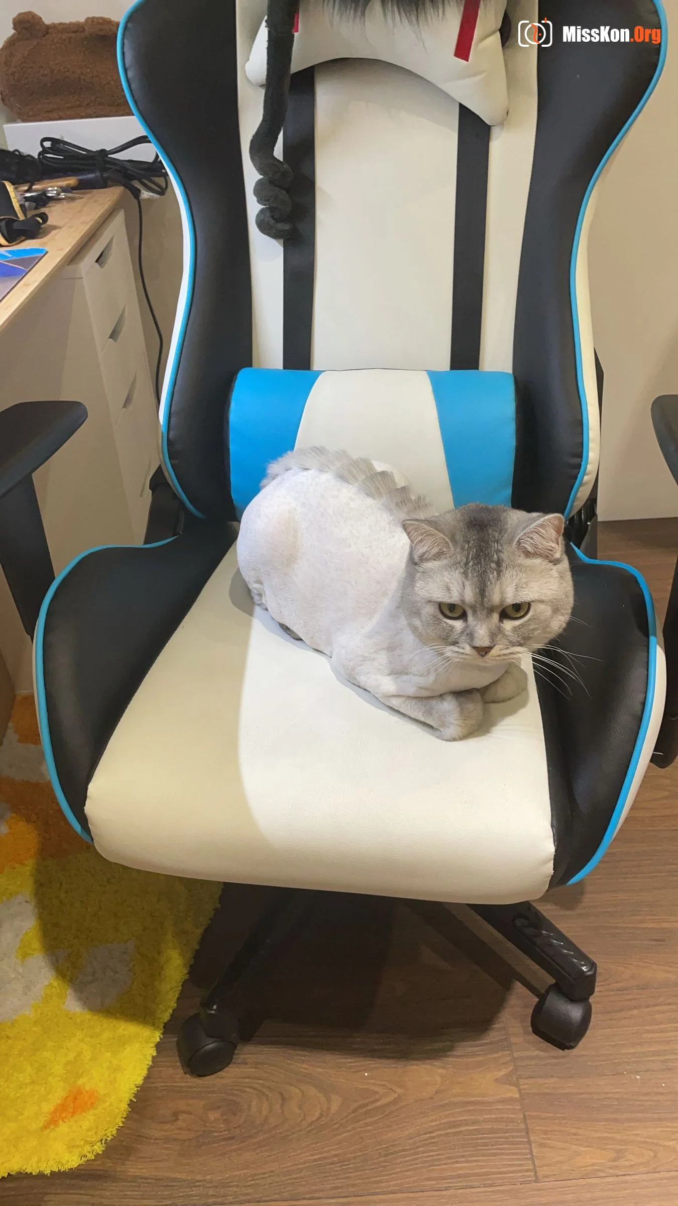Little Ding: Special selfie - Photo 10