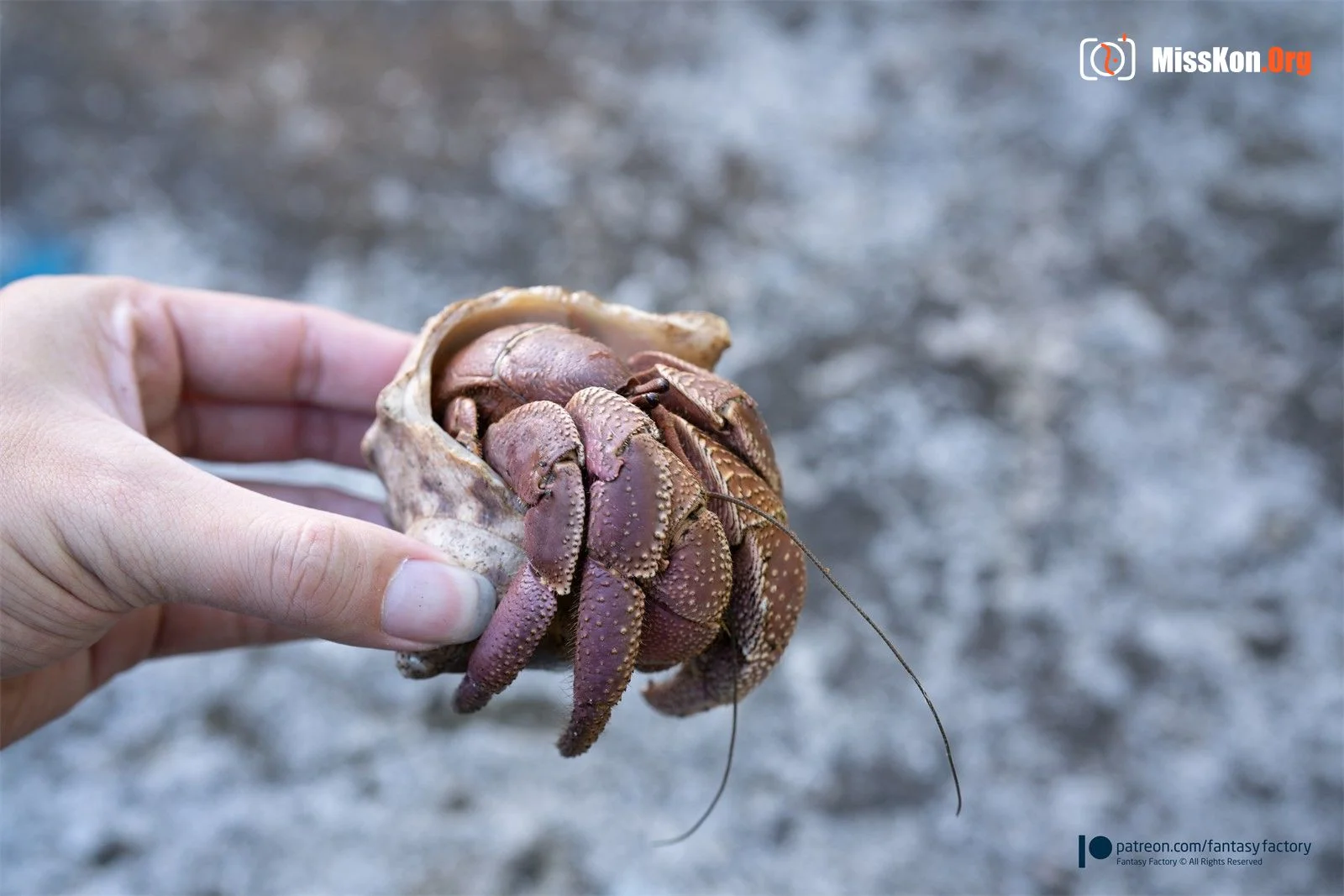 Little Ding: Taiwan Green Islands - Photo 17