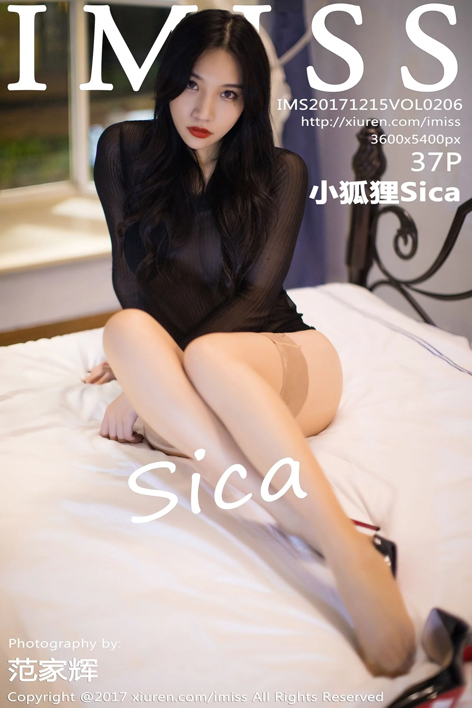 Little fox Sica