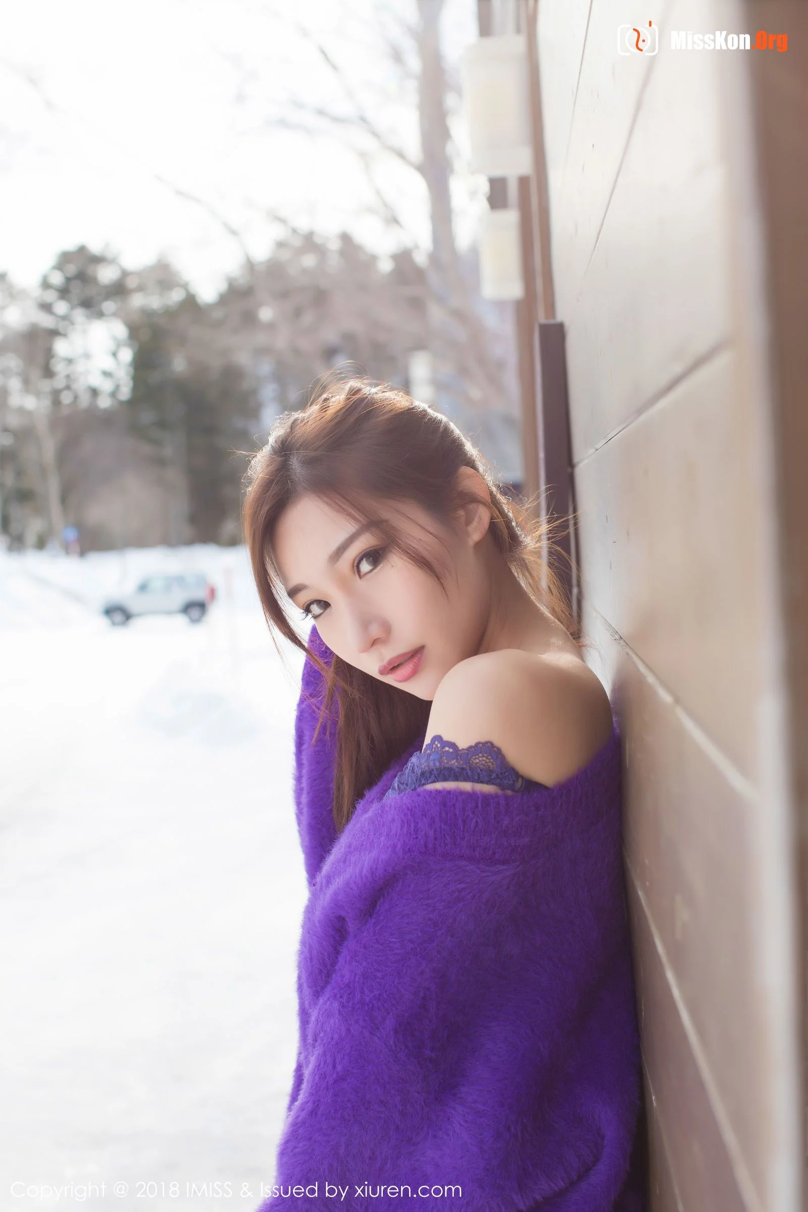 Little fox Sica - Photo 15