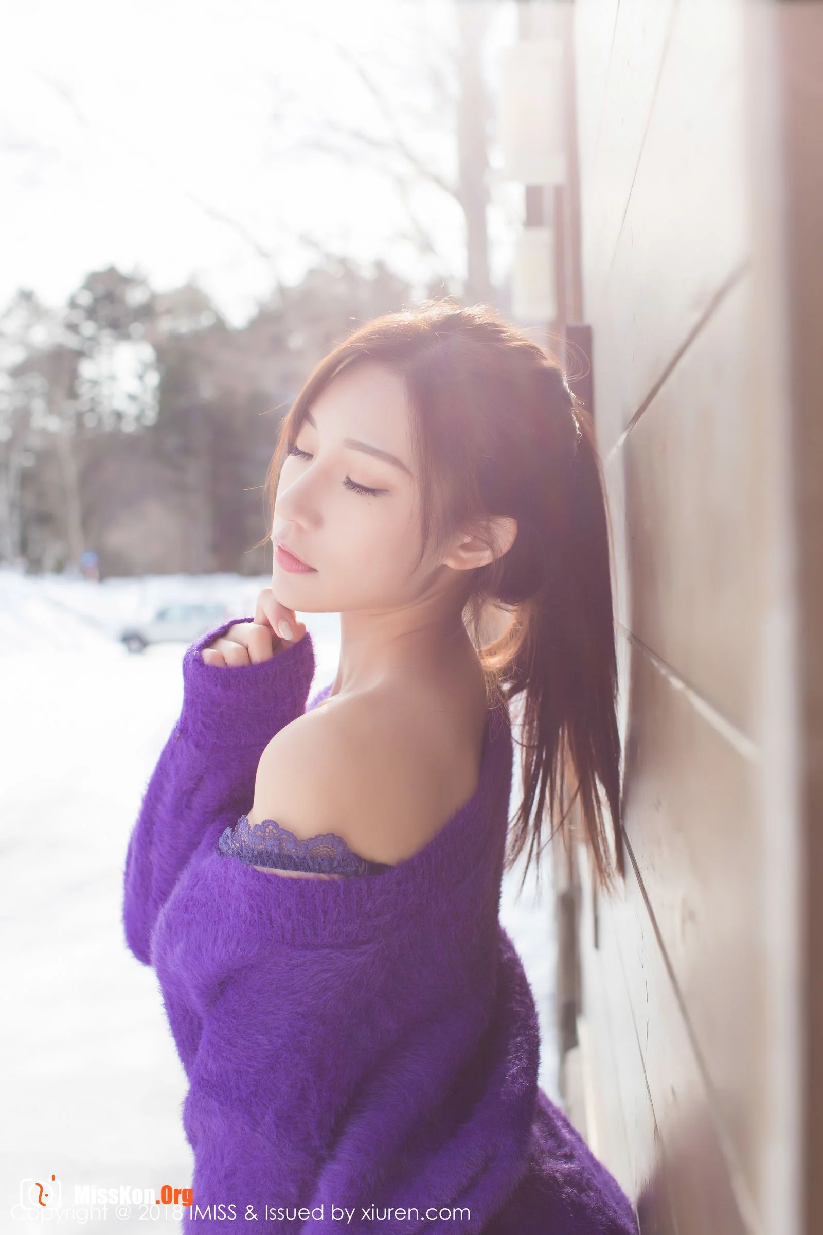Little fox Sica - Photo 16