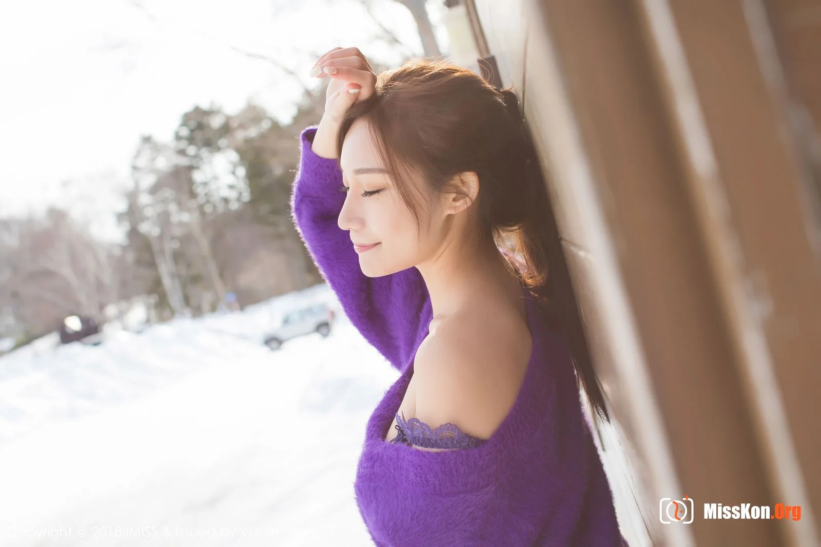 Little fox Sica - Photo 17