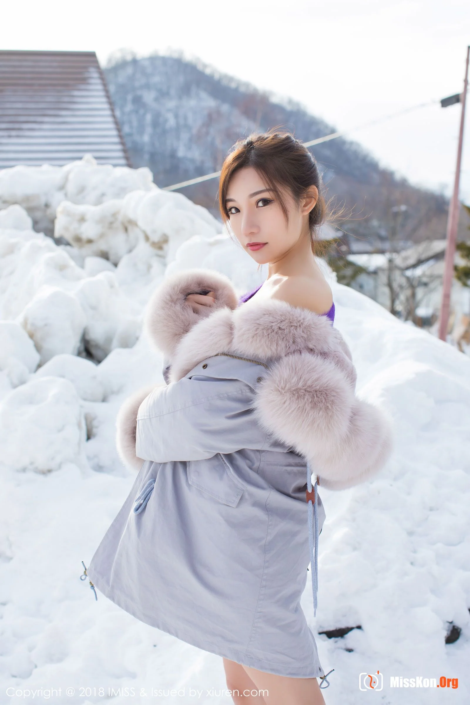 Little fox Sica - Photo 2