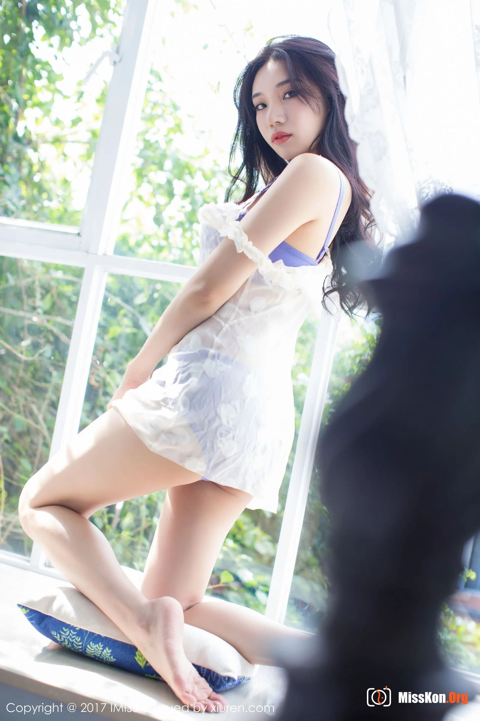 Little fox Sica - Photo 13