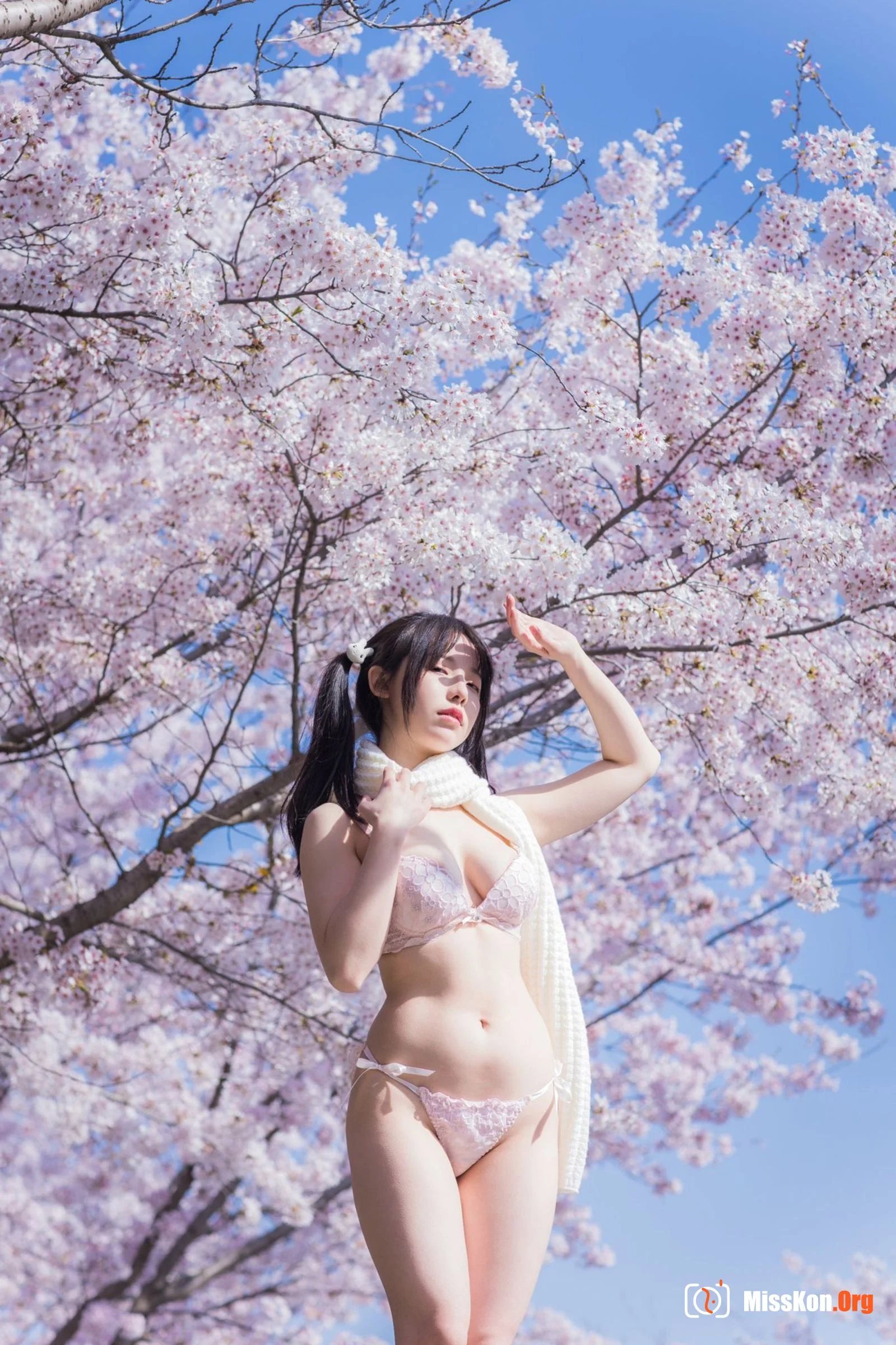 Liuwei Dihuang Jiang: Network collection - Photo 18