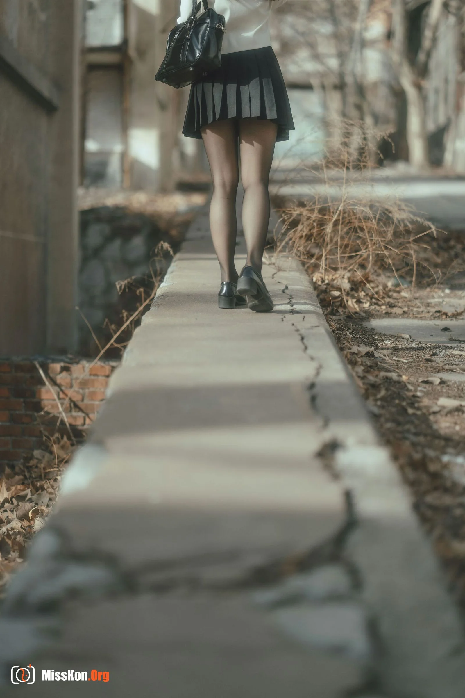 Liuwei Dihuang Jiang: Ruin JK - Photo 12