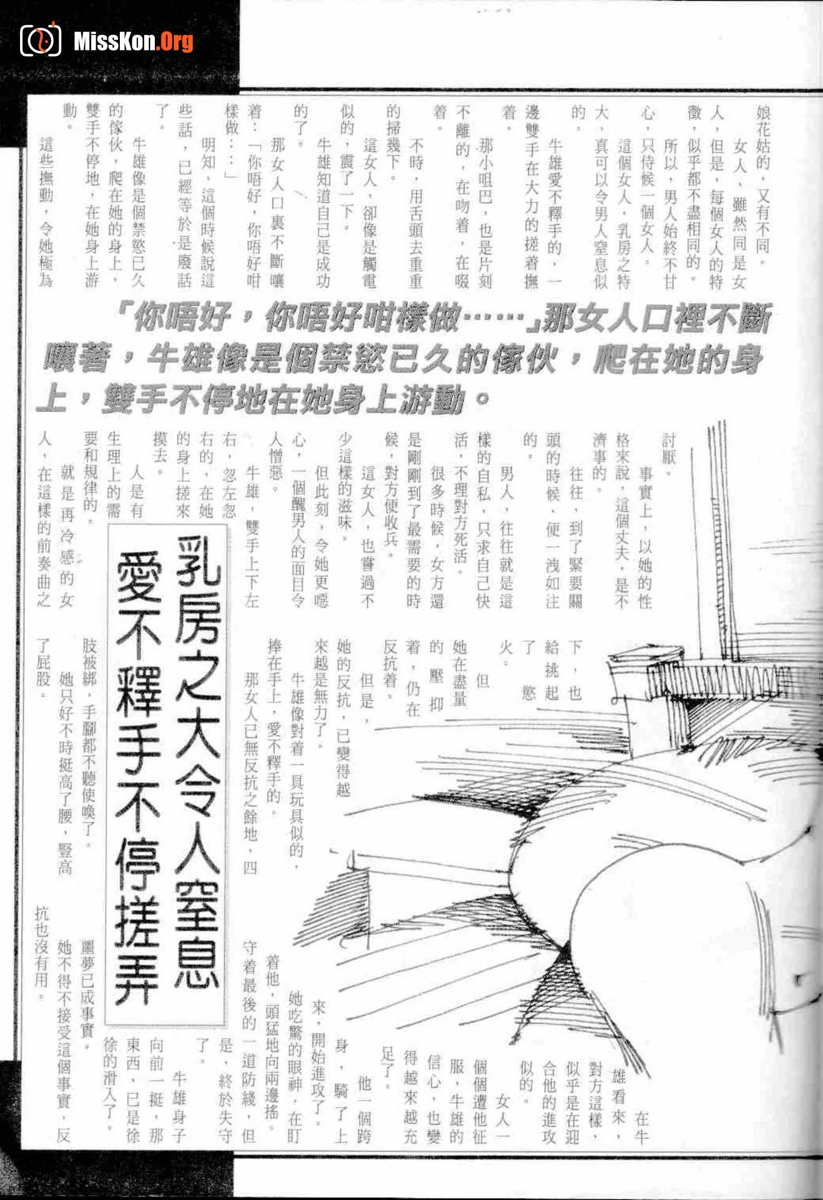 Long Hu Pao: classic Hong Kong adult magazine - Photo 16