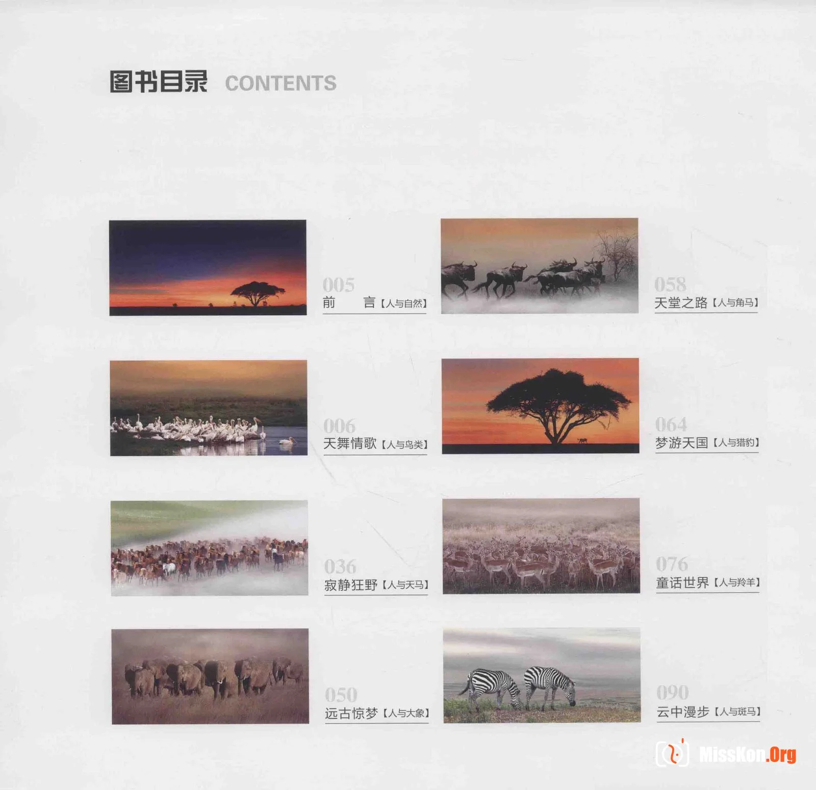 Man and Nature Surrealist Manifesto (China Photography Publishing House) - Photo 10