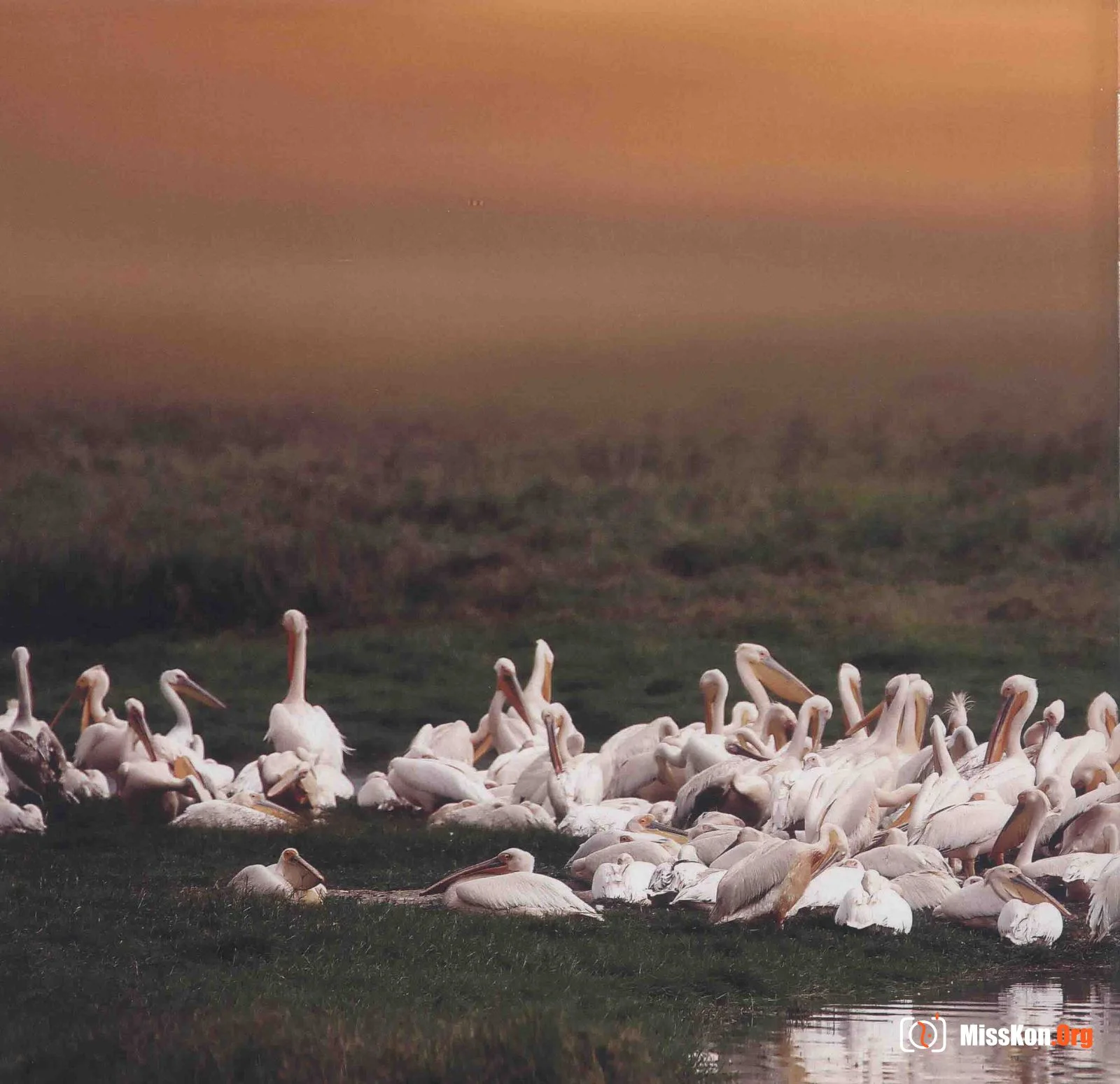 Man and Nature Surrealist Manifesto (China Photography Publishing House) - Photo 14