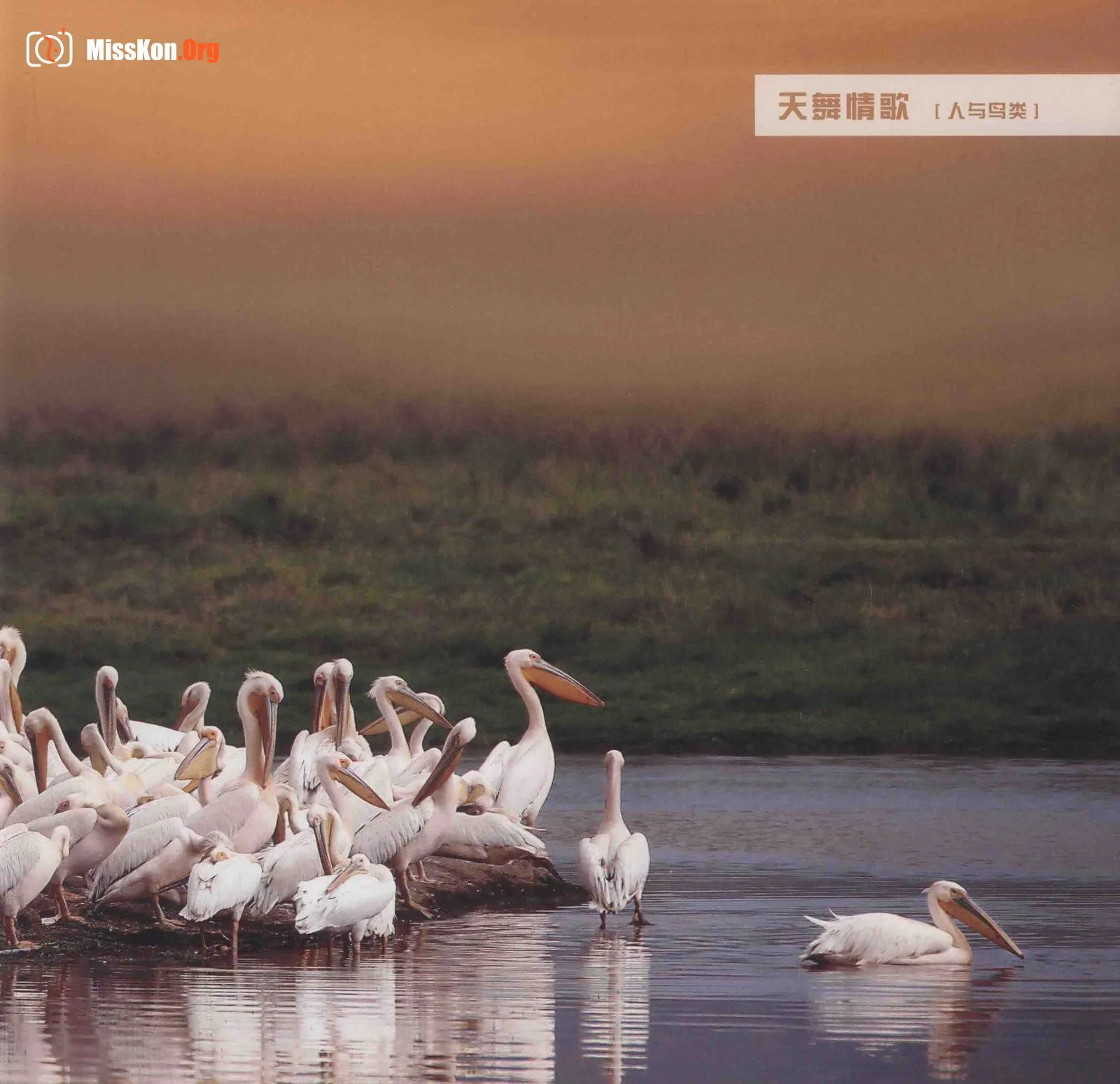 Man and Nature Surrealist Manifesto (China Photography Publishing House) - Photo 15