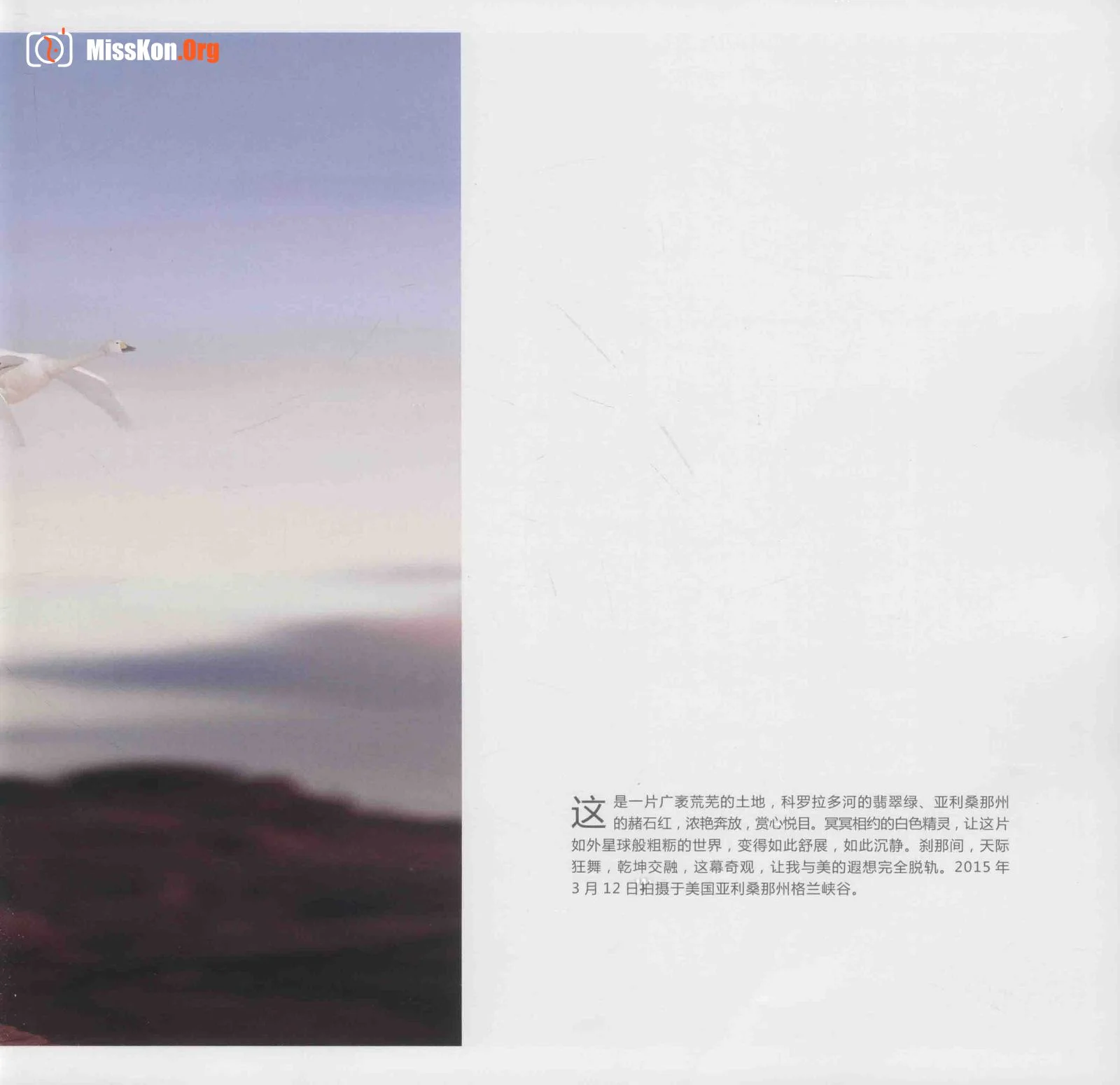 Man and Nature Surrealist Manifesto (China Photography Publishing House) - Photo 17