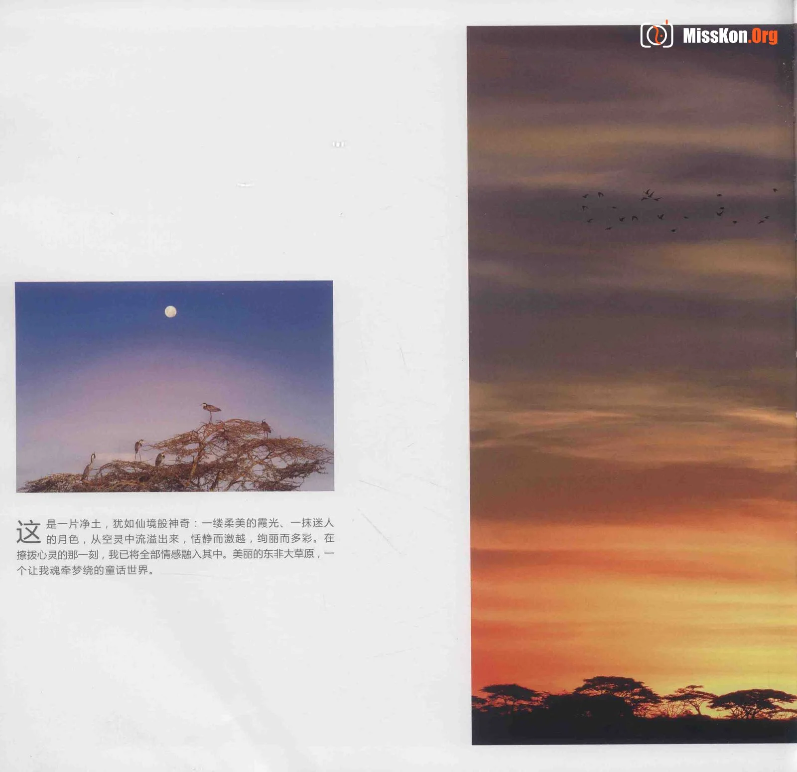 Man and Nature Surrealist Manifesto (China Photography Publishing House) - Photo 18