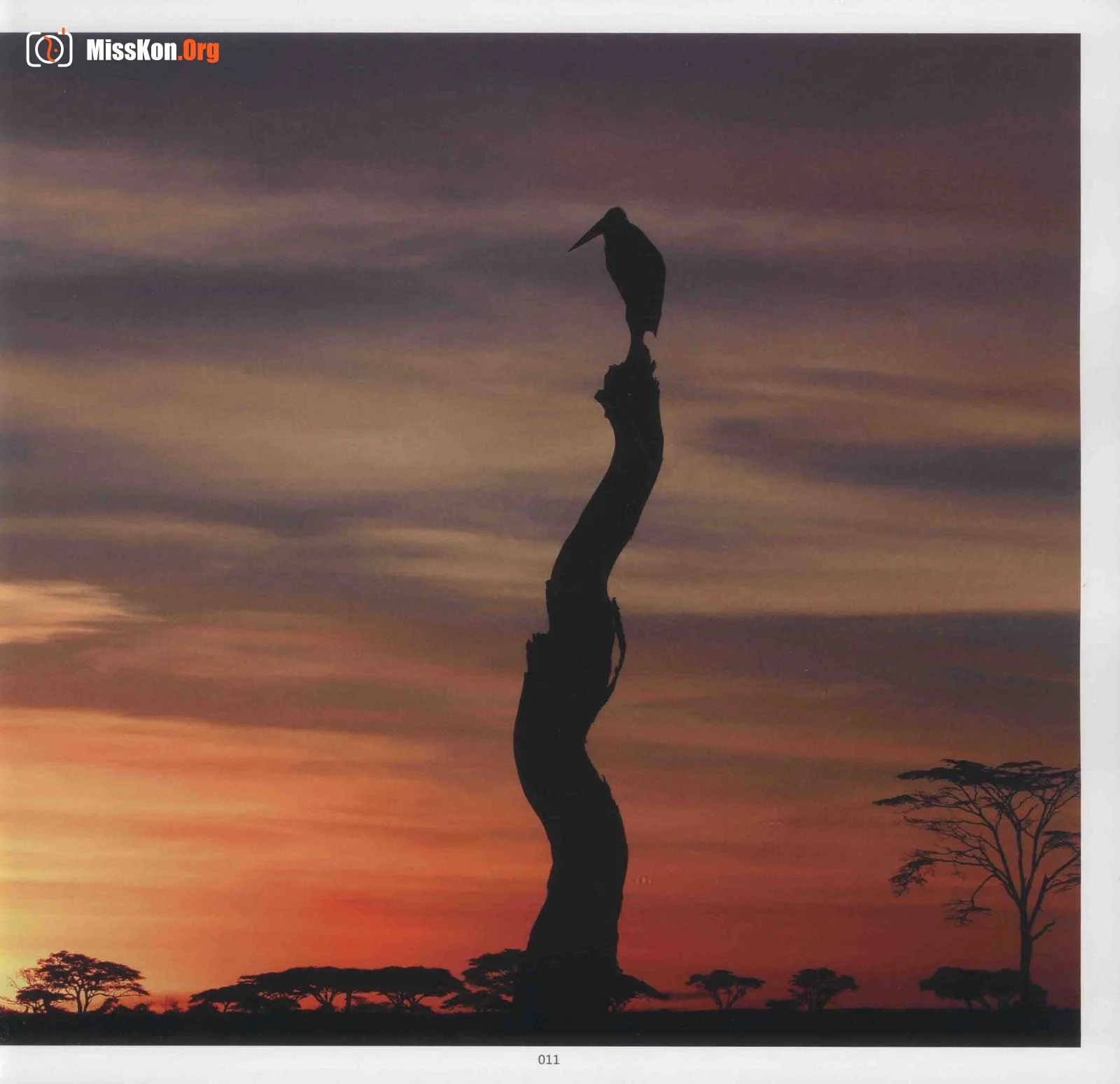 Man and Nature Surrealist Manifesto (China Photography Publishing House) - Photo 19