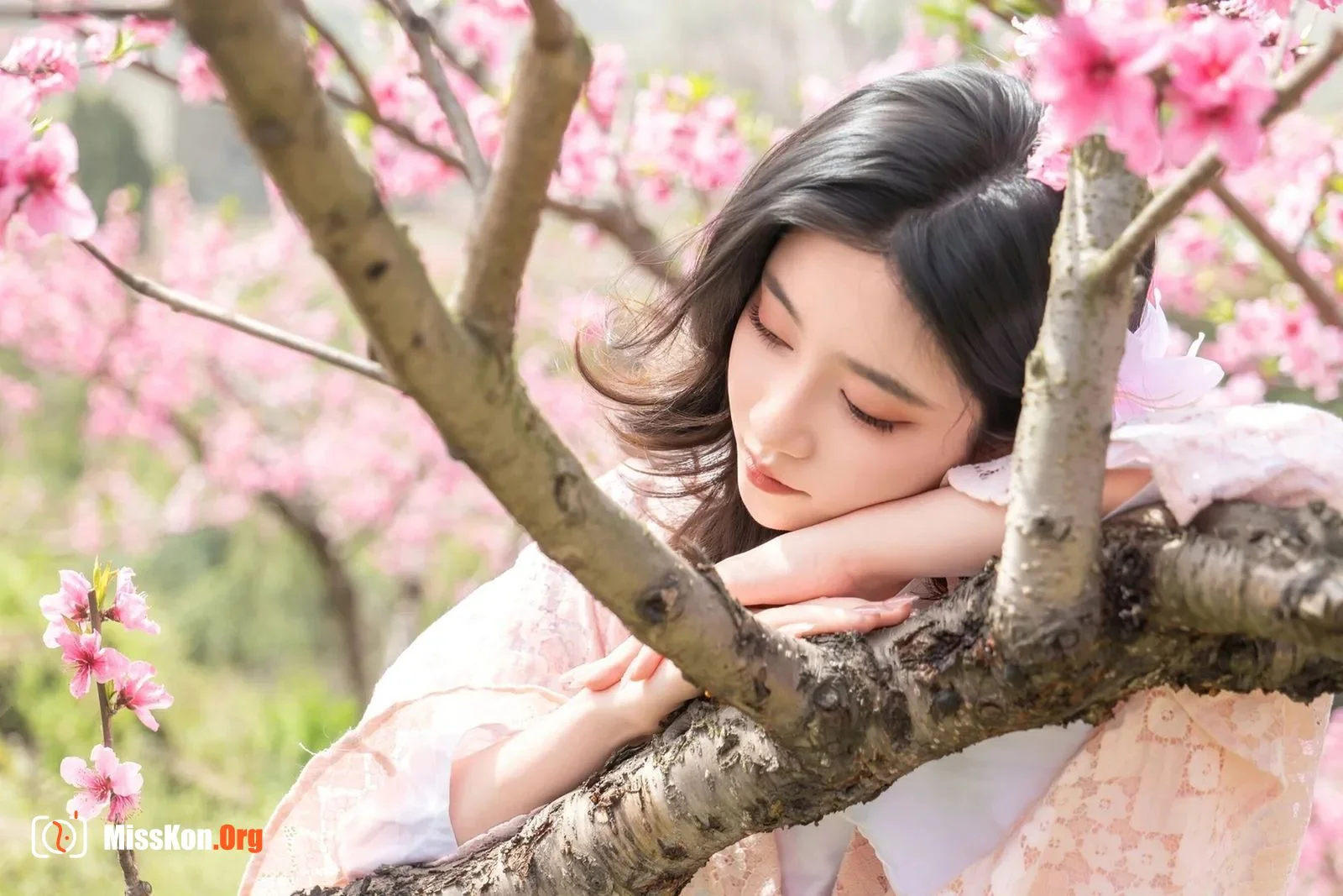 漫花 - 照片 14