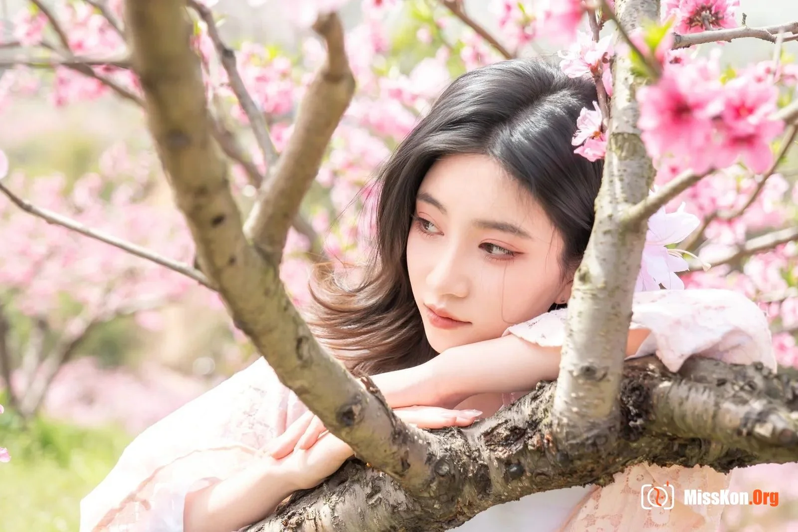 漫花 - 照片 15