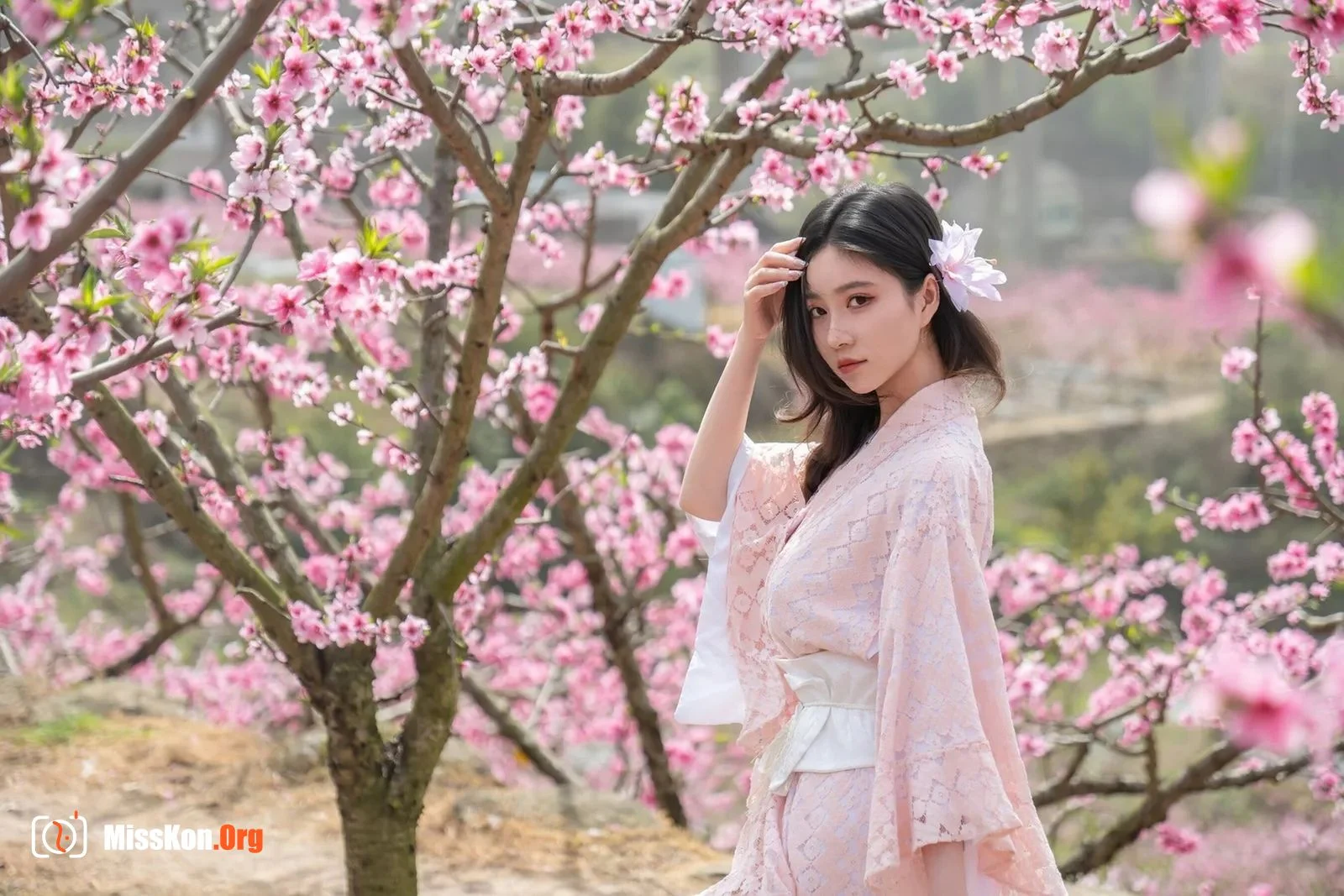 漫花 - 照片 6