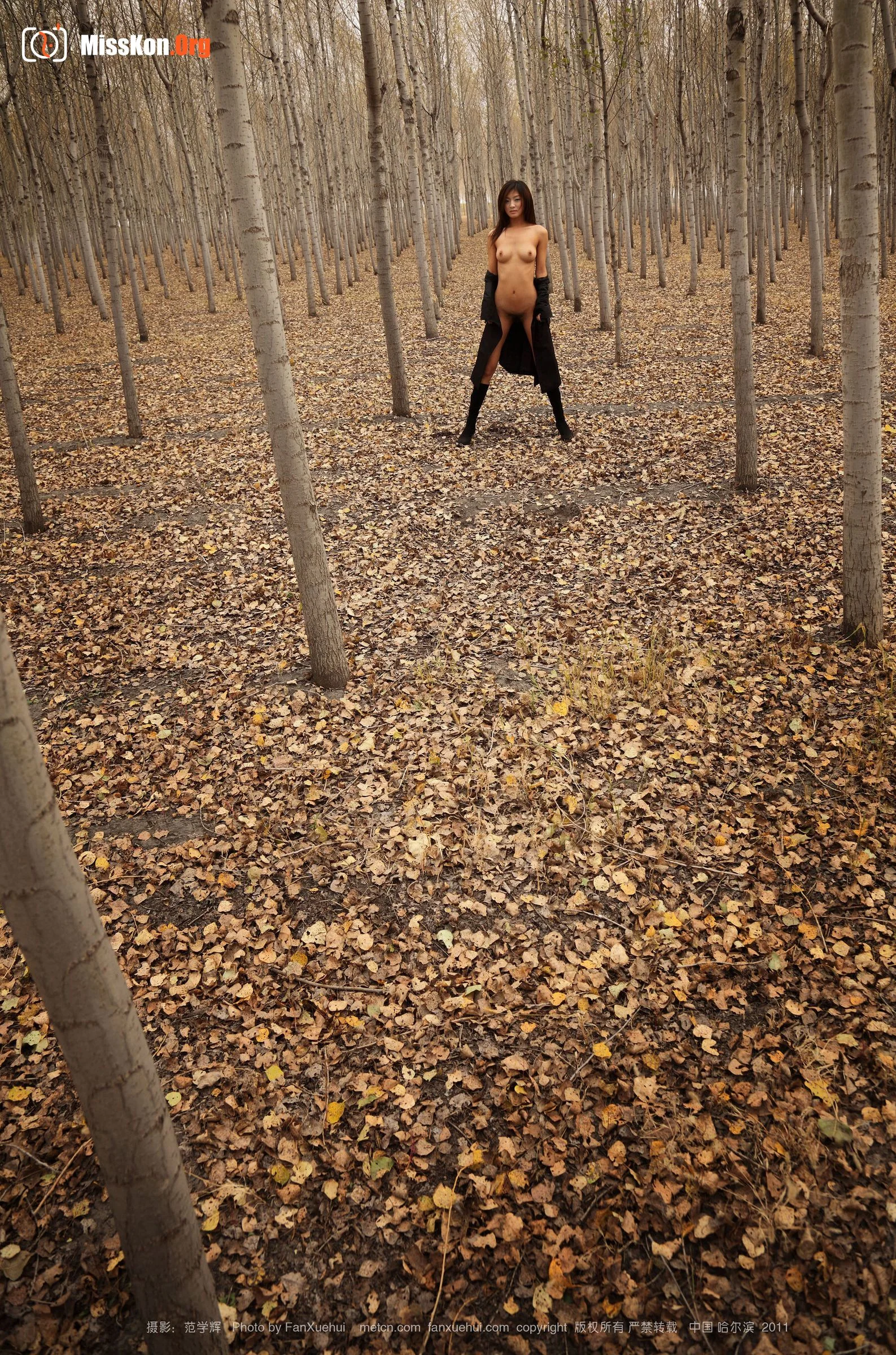 Mao Ming: Autumn scenery (2011-10-18) - Photo 2