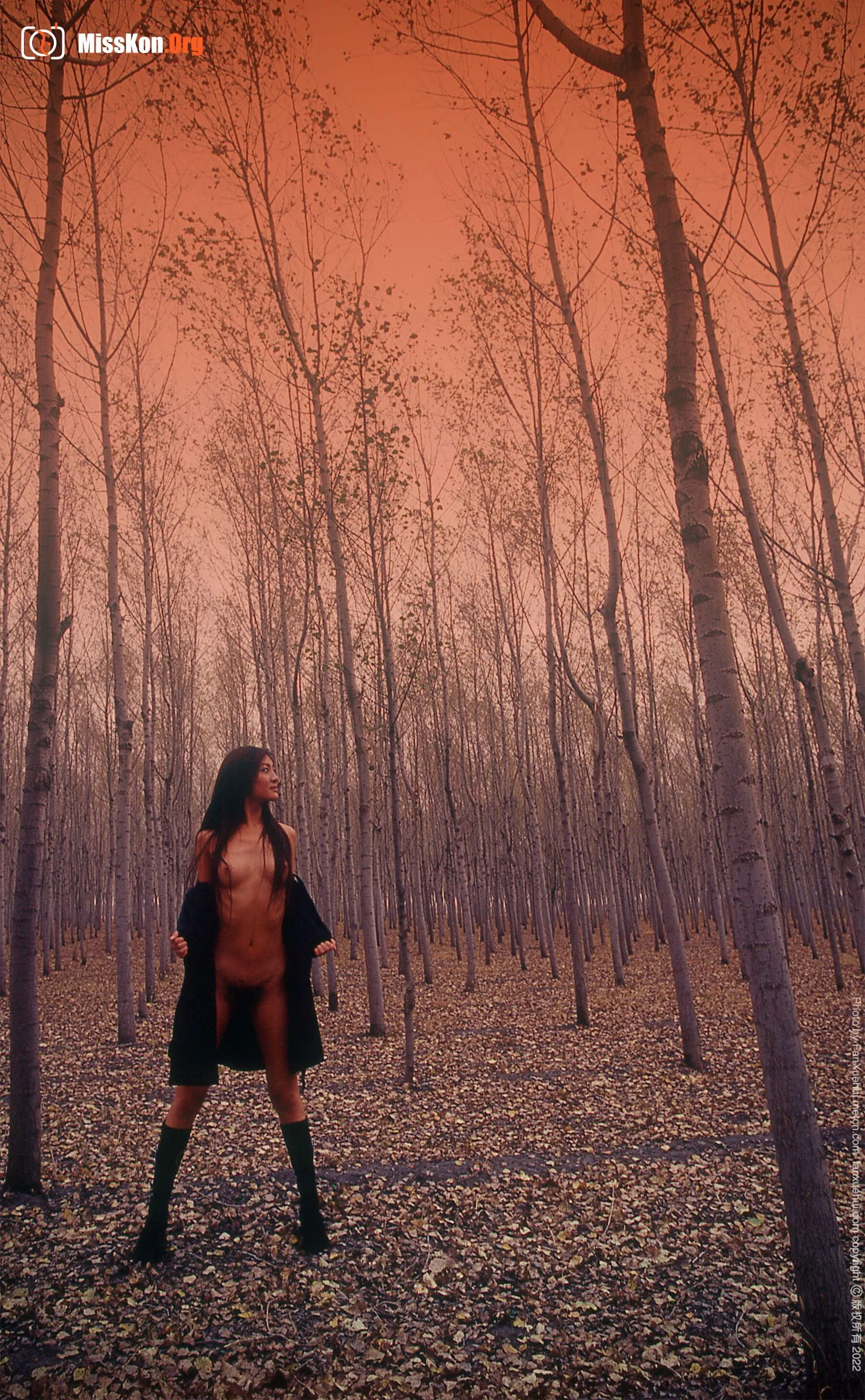 Mao Ming: Woman among autumn leaves (2022-06-12) - Photo 3