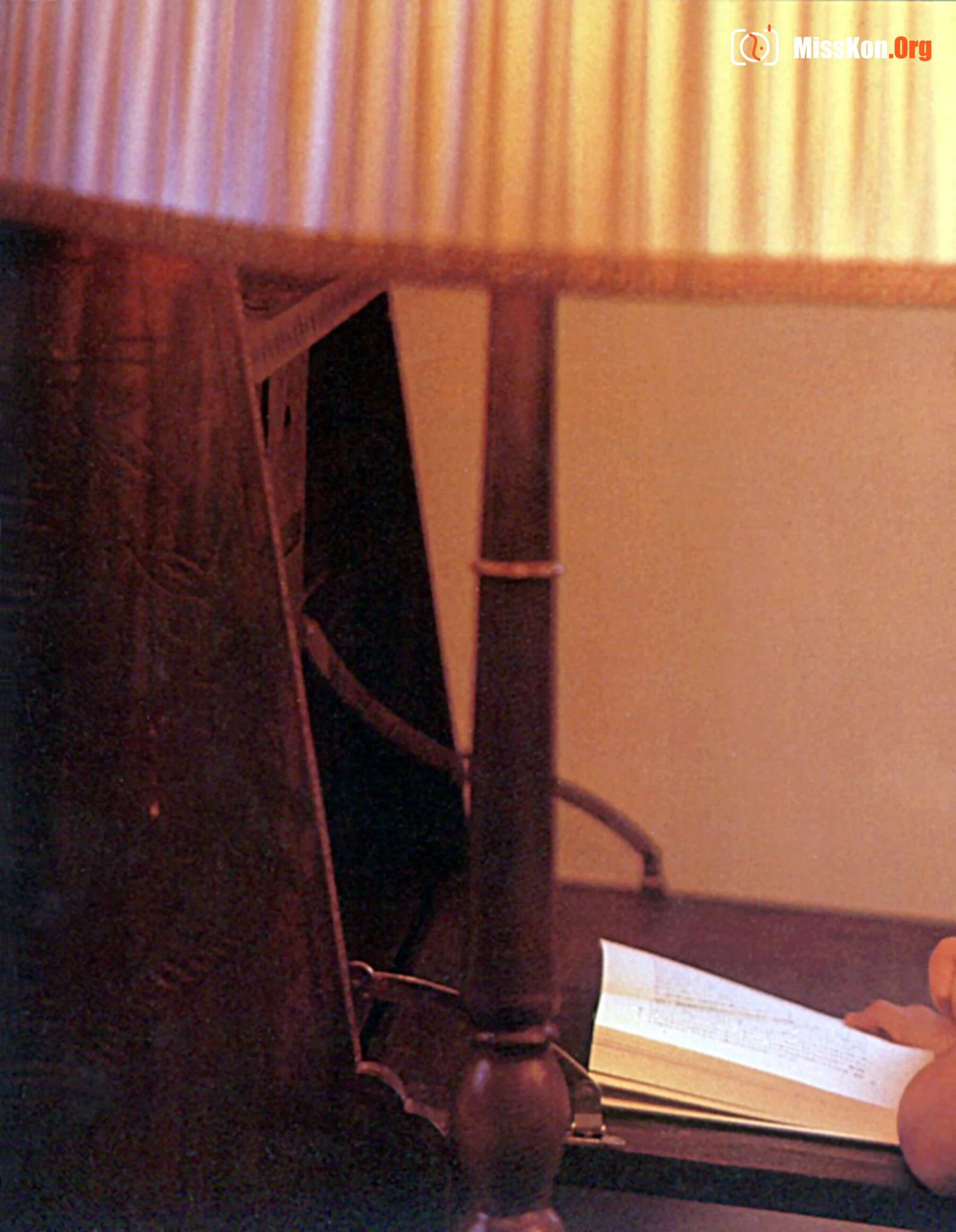 Megumi Ishii "Softly" (Vol. 1982.5) - Photo 8
