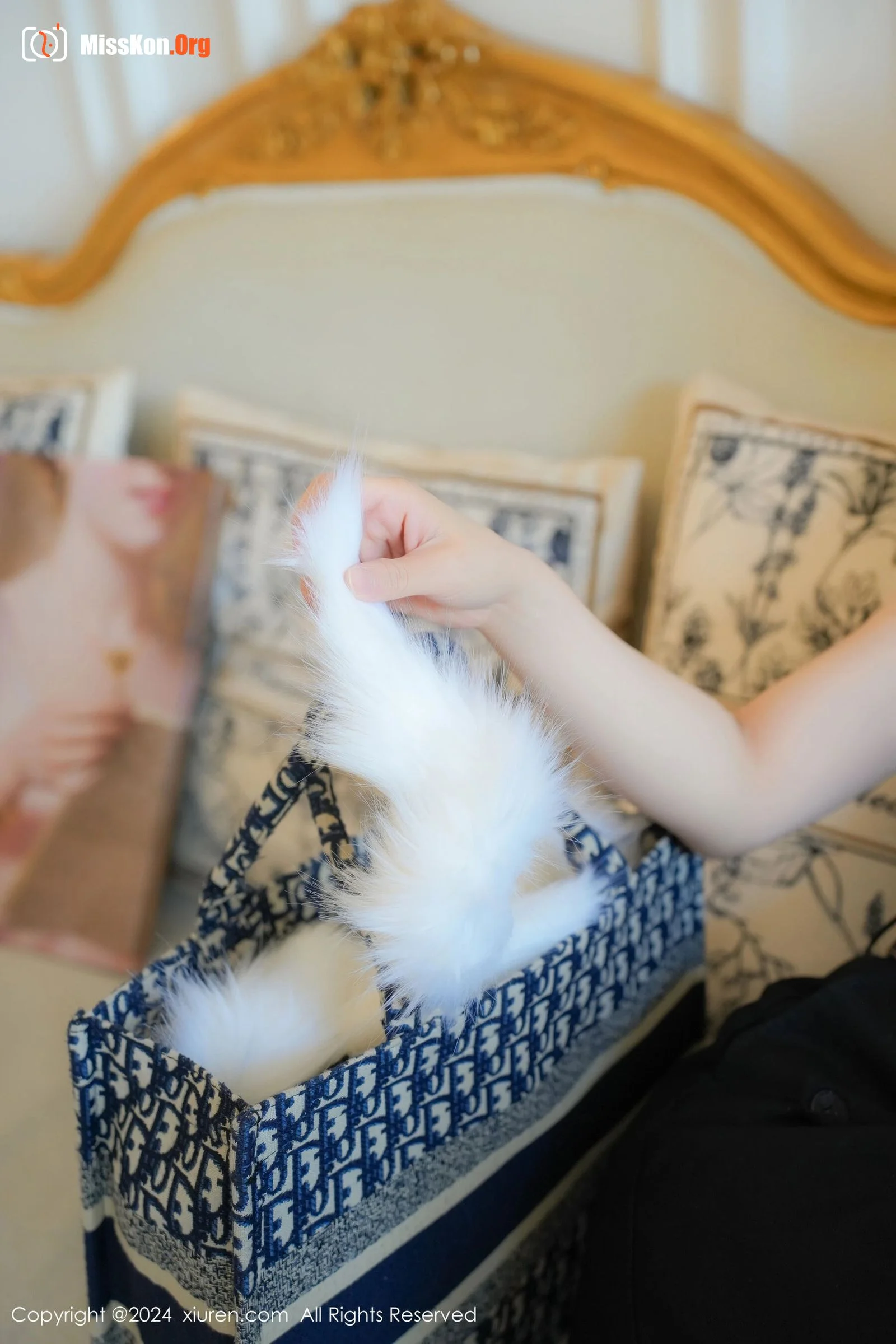 Meow Jojo - Photo 12