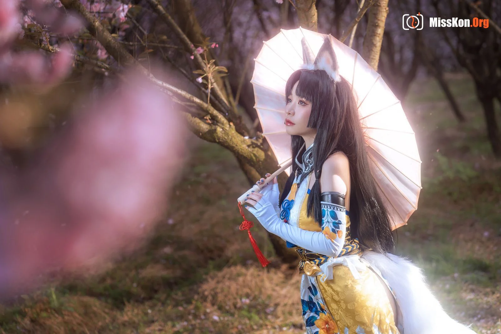 Meow Xiaoji: Eternal Doom·Walnut (2022-04-27) - Photo 4