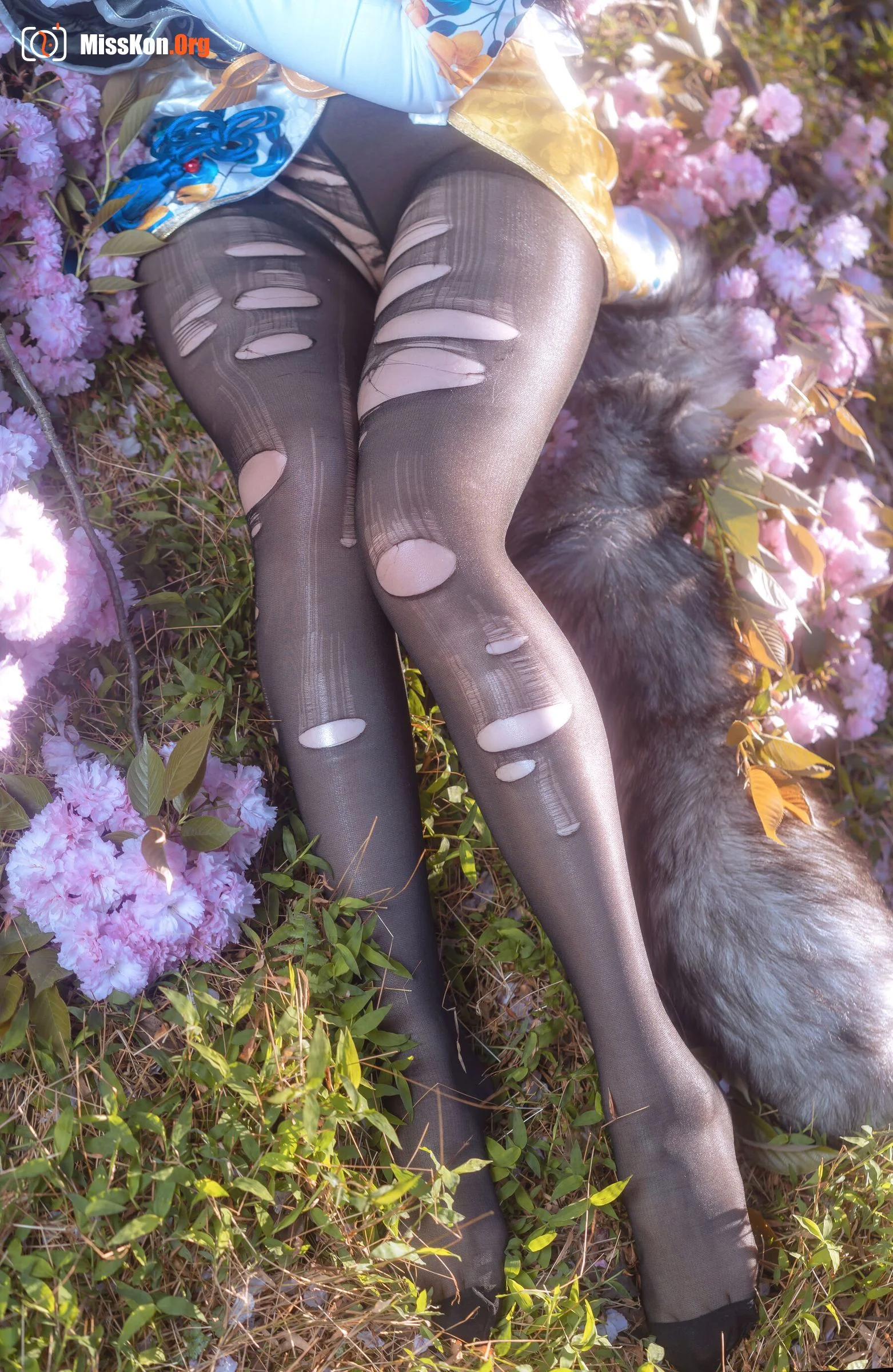Meow Xiaoji: Eternal Doom·Walnut (2022-04-27) - Photo 8