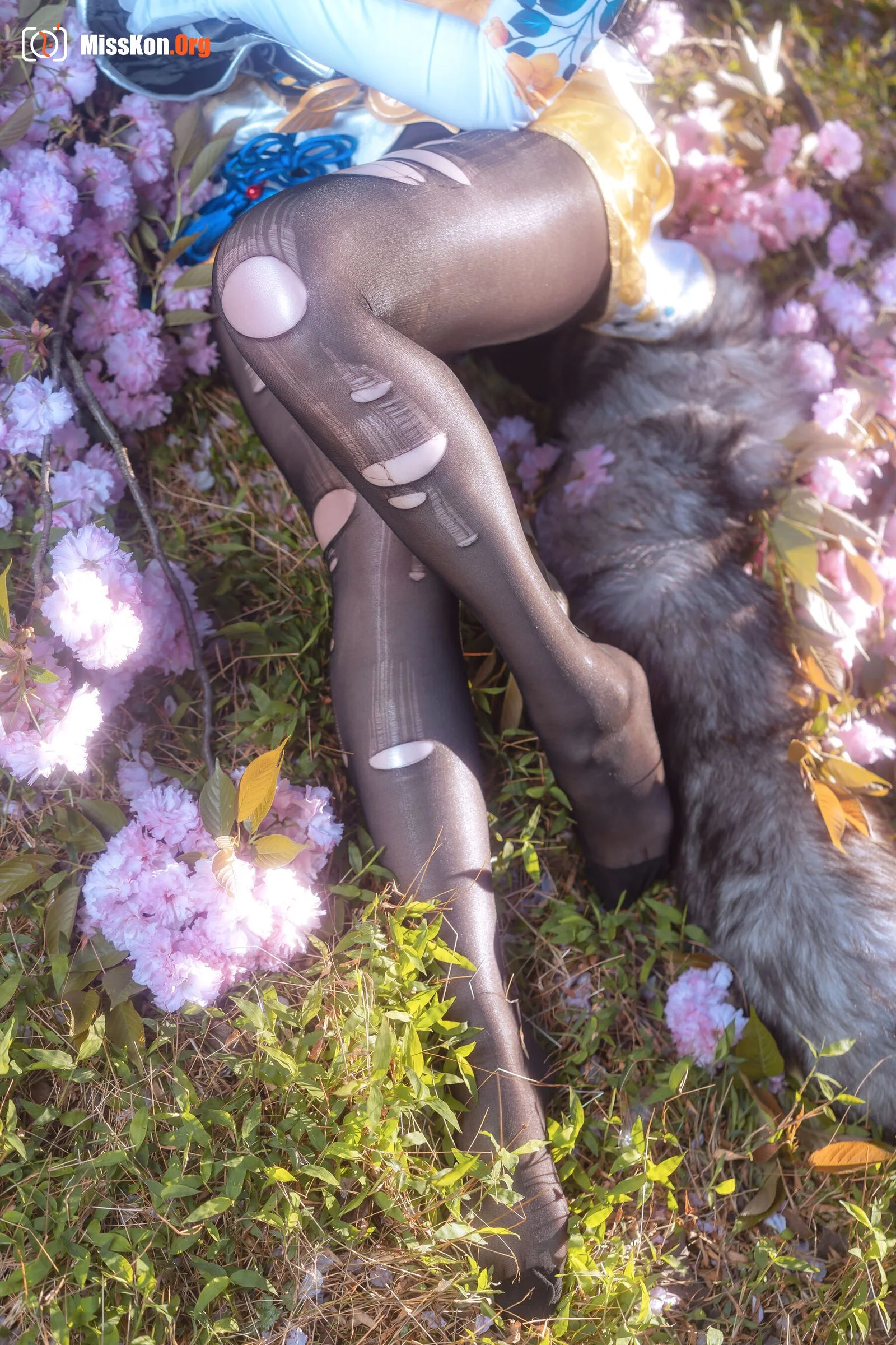 Meow Xiaoji: Eternal Doom·Walnut (2022-04-27) - Photo 9