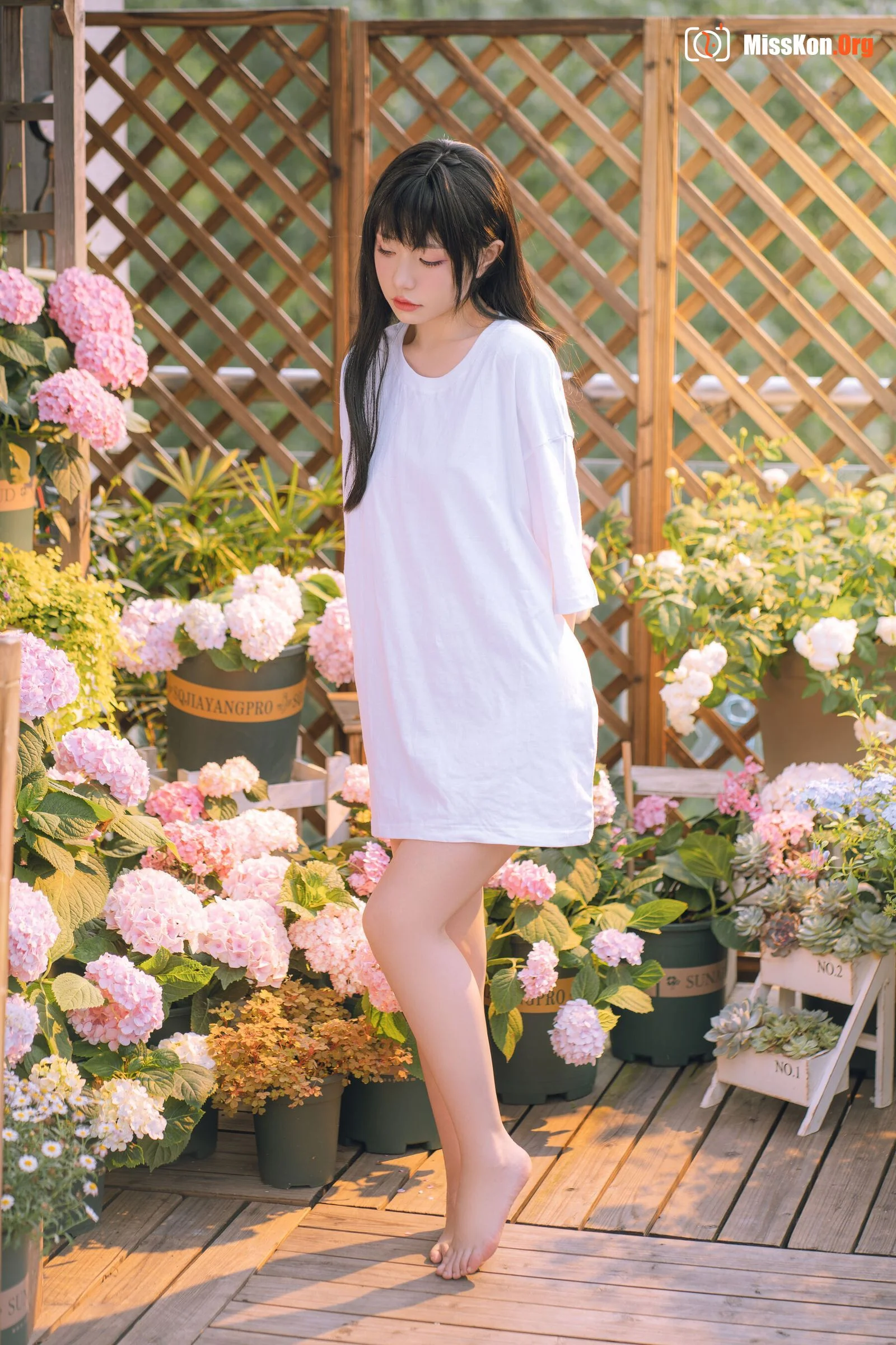 Meow Xiaoji: Xiaoji's afternoon - Photo 11