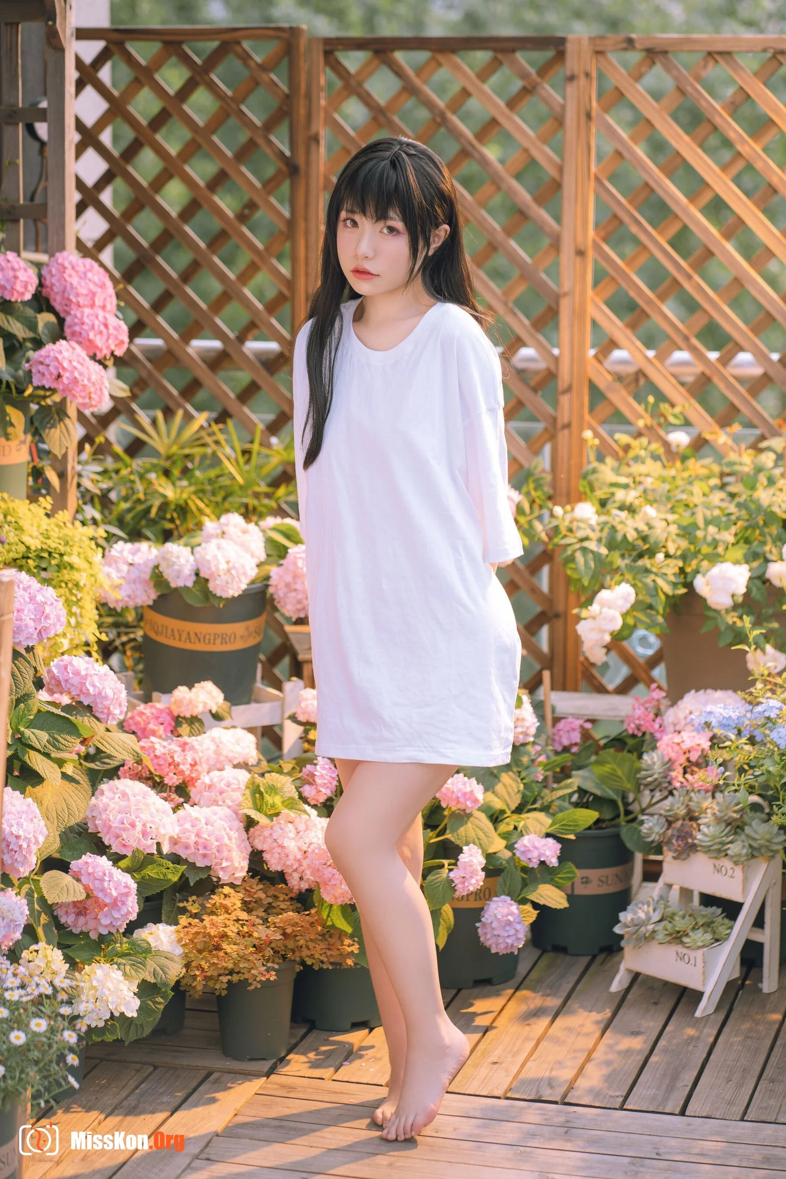 Meow Xiaoji: Xiaoji's afternoon - Photo 12