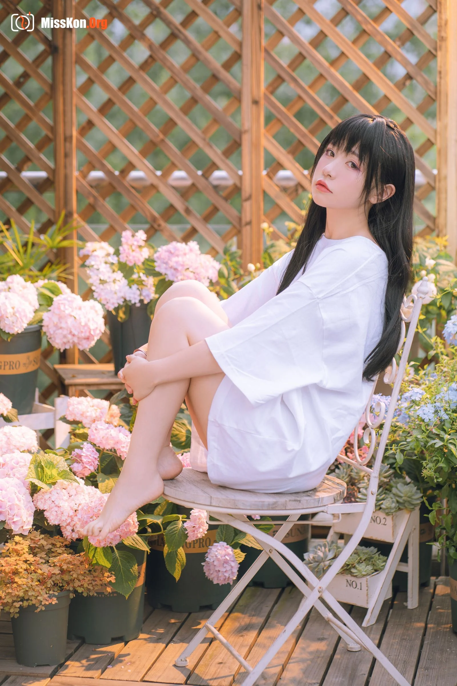 Meow Xiaoji: Xiaoji's afternoon - Photo 2
