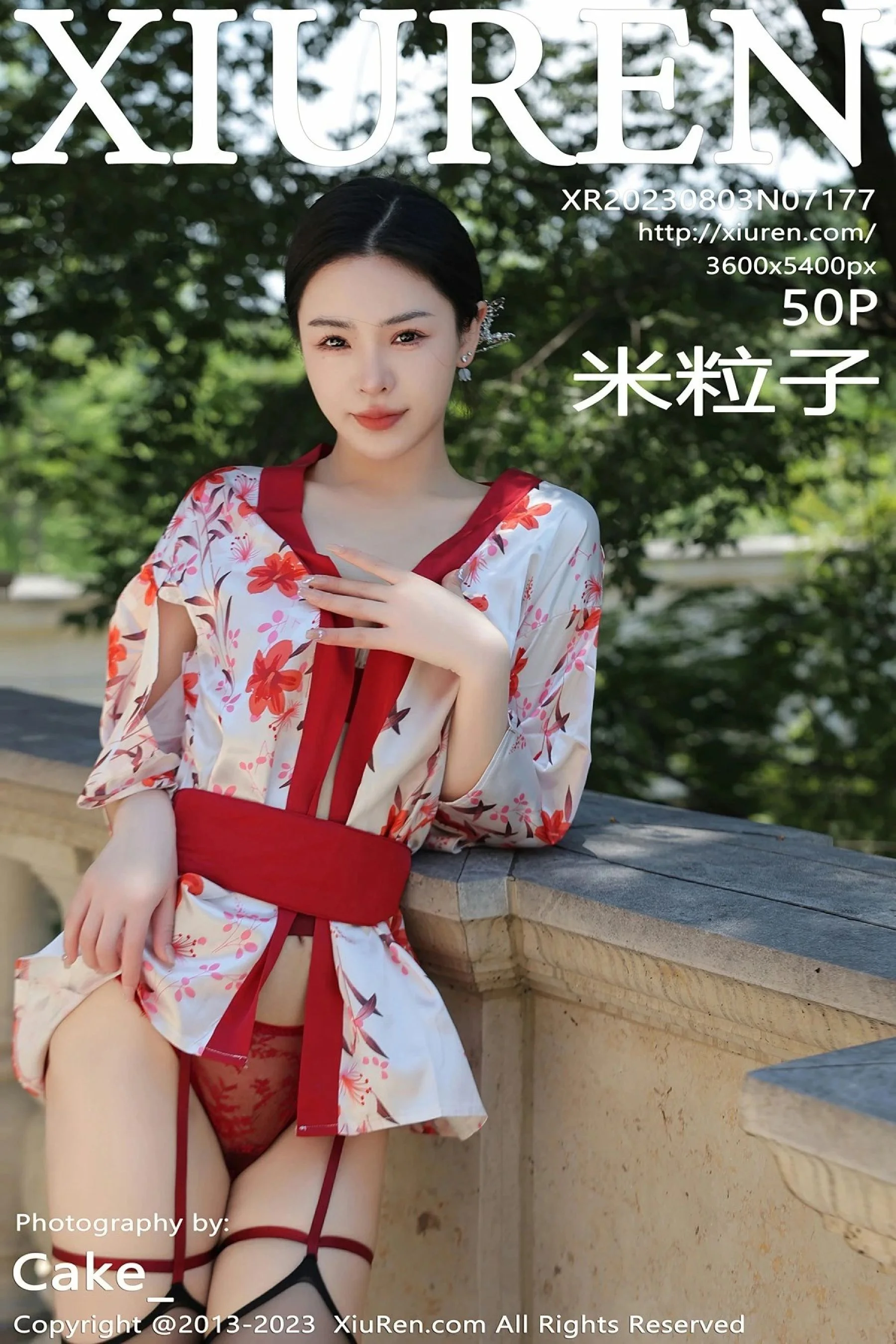 米粒子