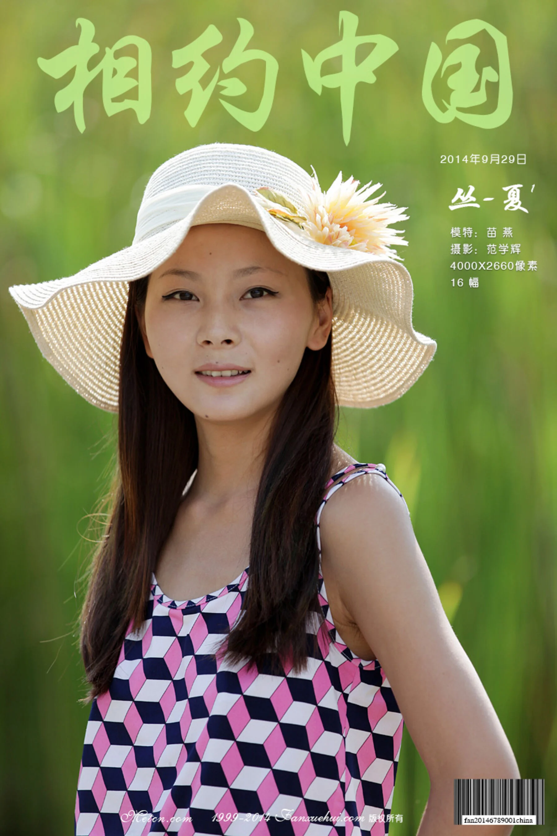 苗燕《丛-夏 1》（2014-09-29）