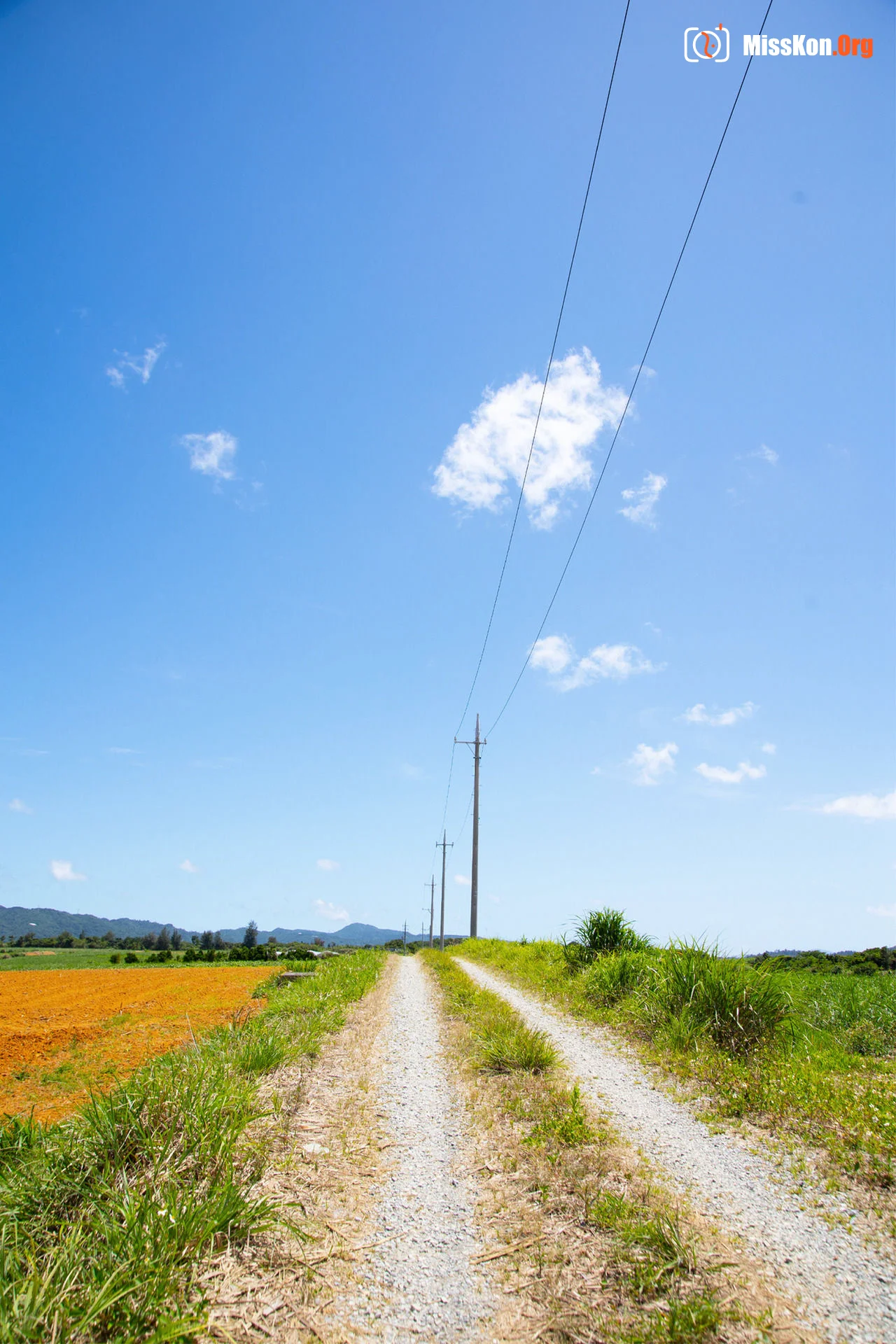 Minaho Ariga: CRAZY SUMMER - Photo 2