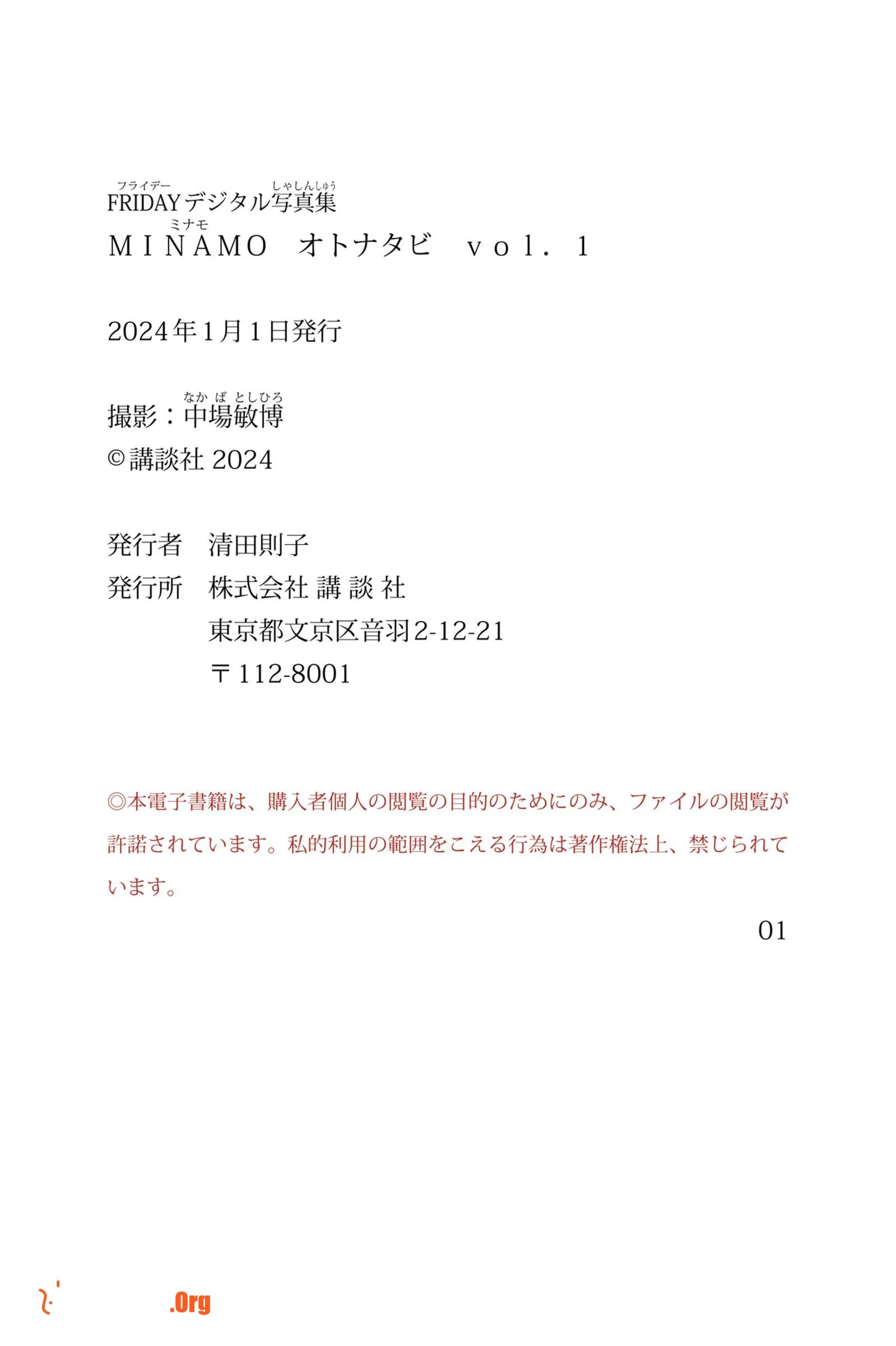 MINAMO: Adult Travel Vol.1 - Photo 4