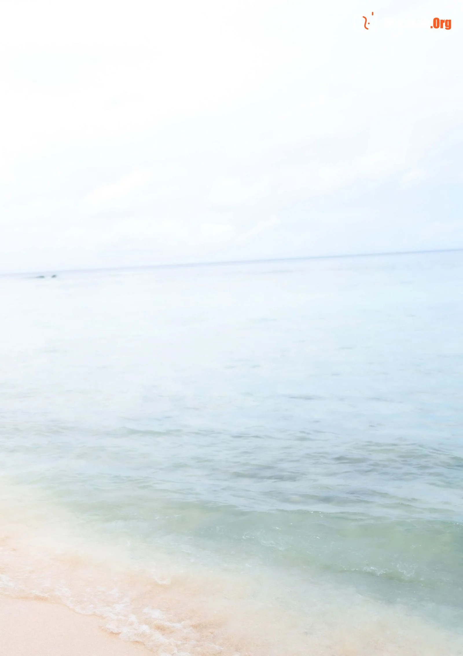 Minosuzume: EpicBody Off Shot Book (FALENO) - Photo 28