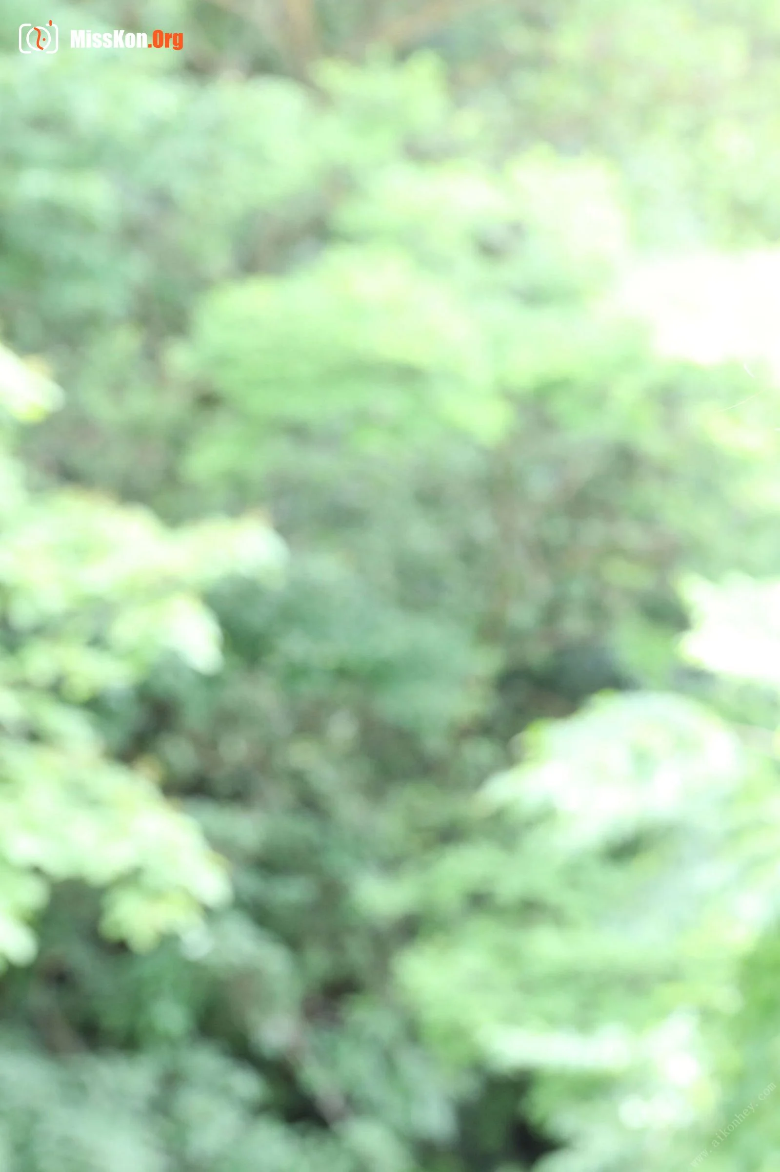 Minosuzume: Kobe Woman (2019-08-19) - Photo 15