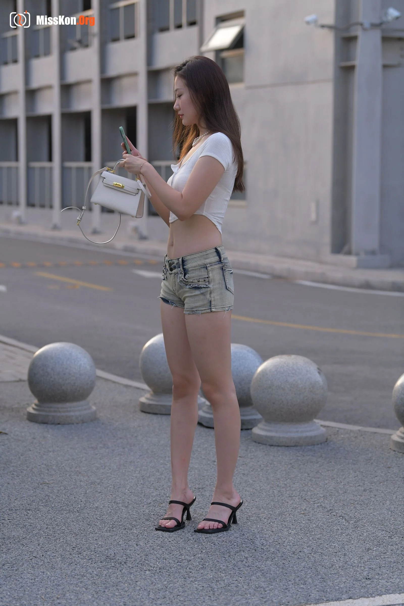 Mint on ice (Magic Mirror Street Photography: A moose) - Photo 2