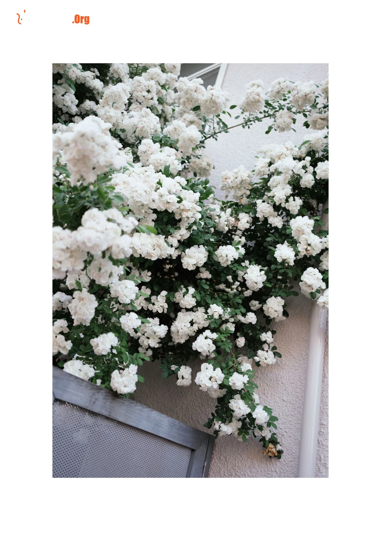 Mio Ishikawa: Taken - Photo 3