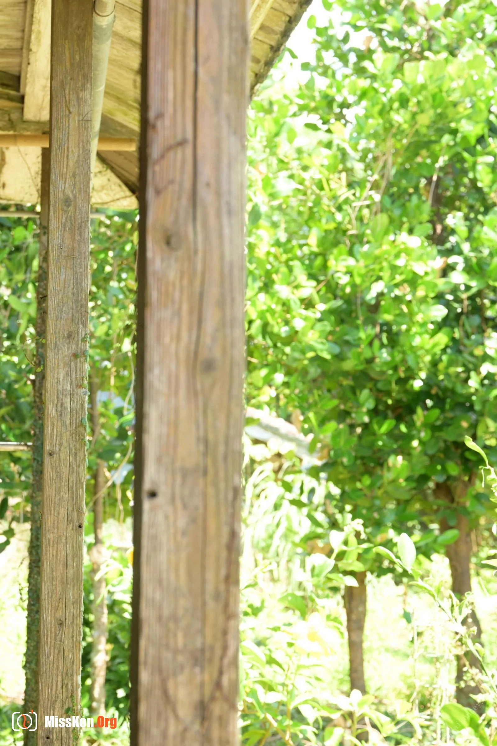 Miru: Milmilk Vol.2 - Photo 2