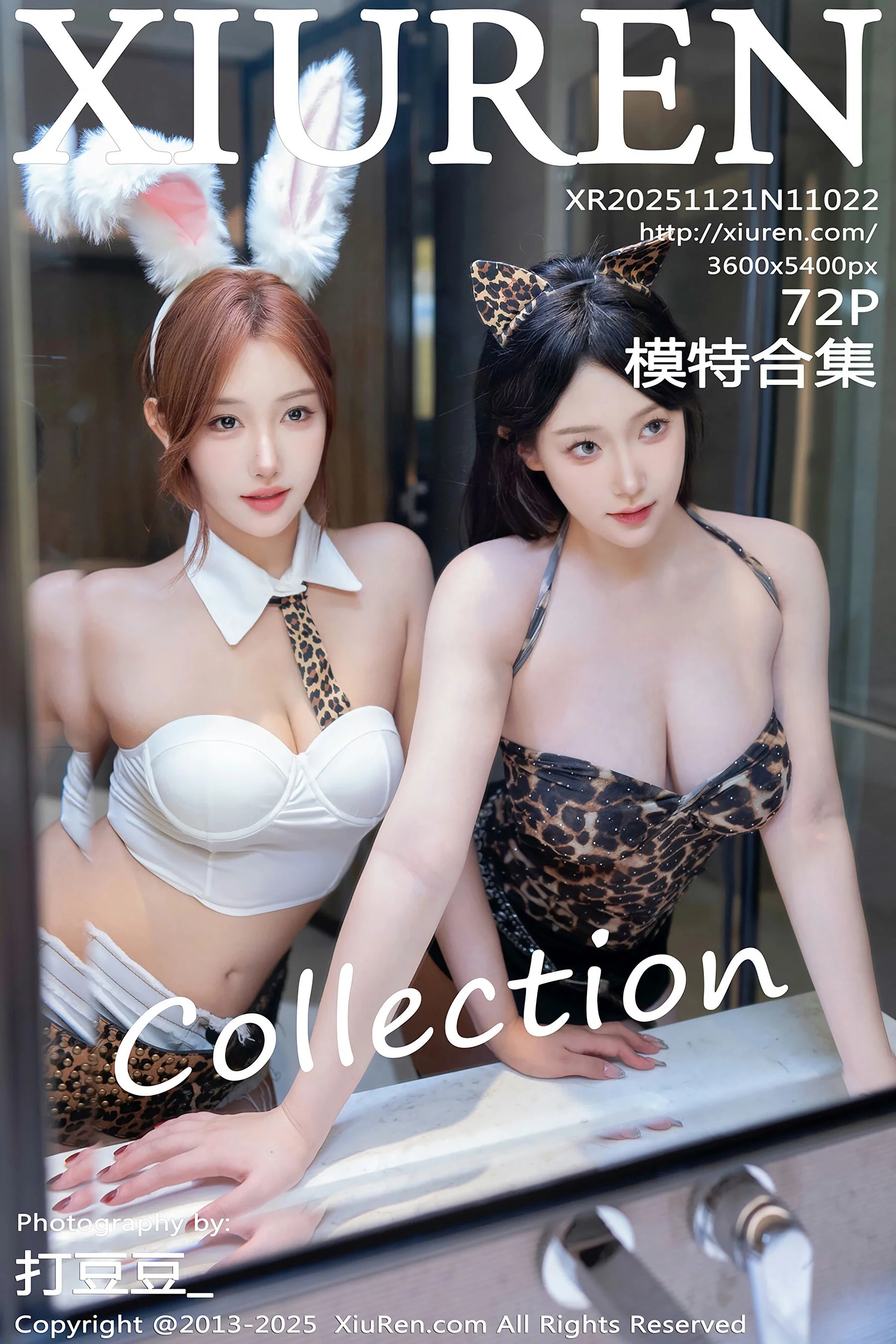 Multiple models