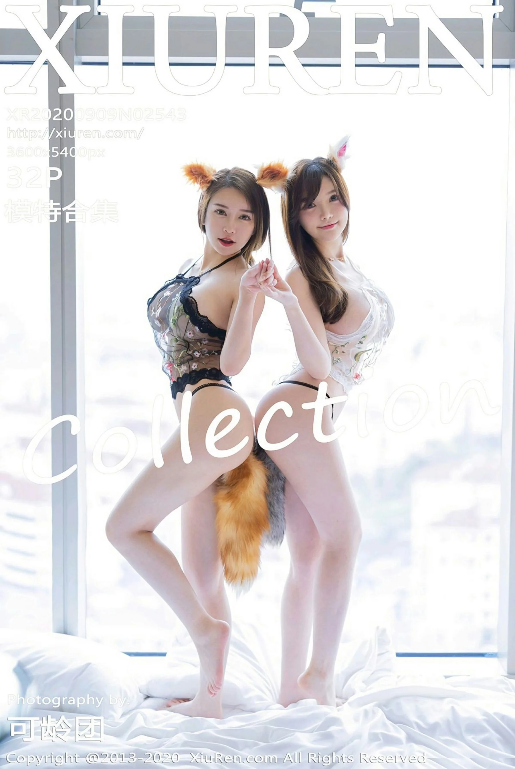 Multiple models