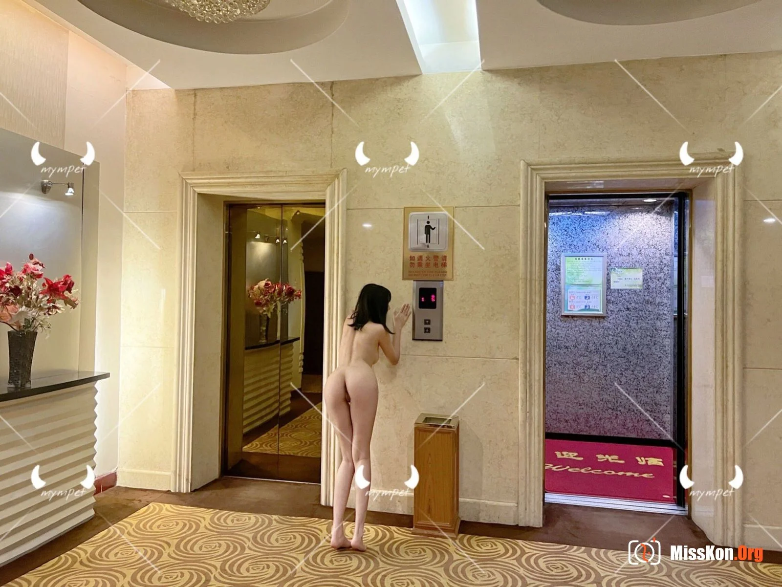 mympet: Online Collection - Photo 5