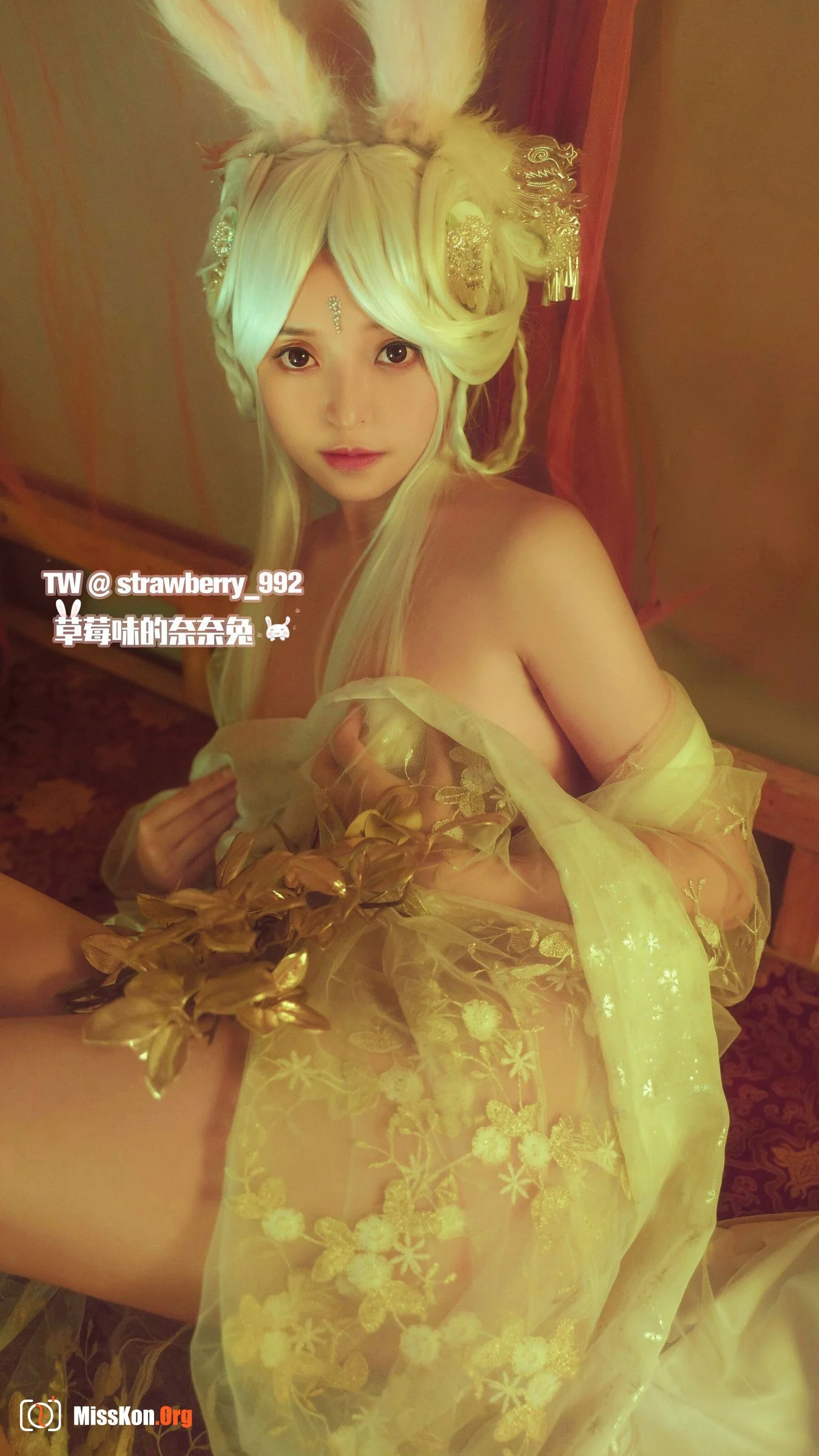 Nainai Rabbit: Jade Rabbit·CQ Rabbit - Photo 15