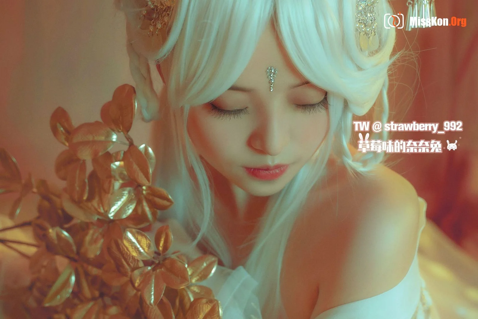 Nainai Rabbit: Jade Rabbit·CQ Rabbit - Photo 2