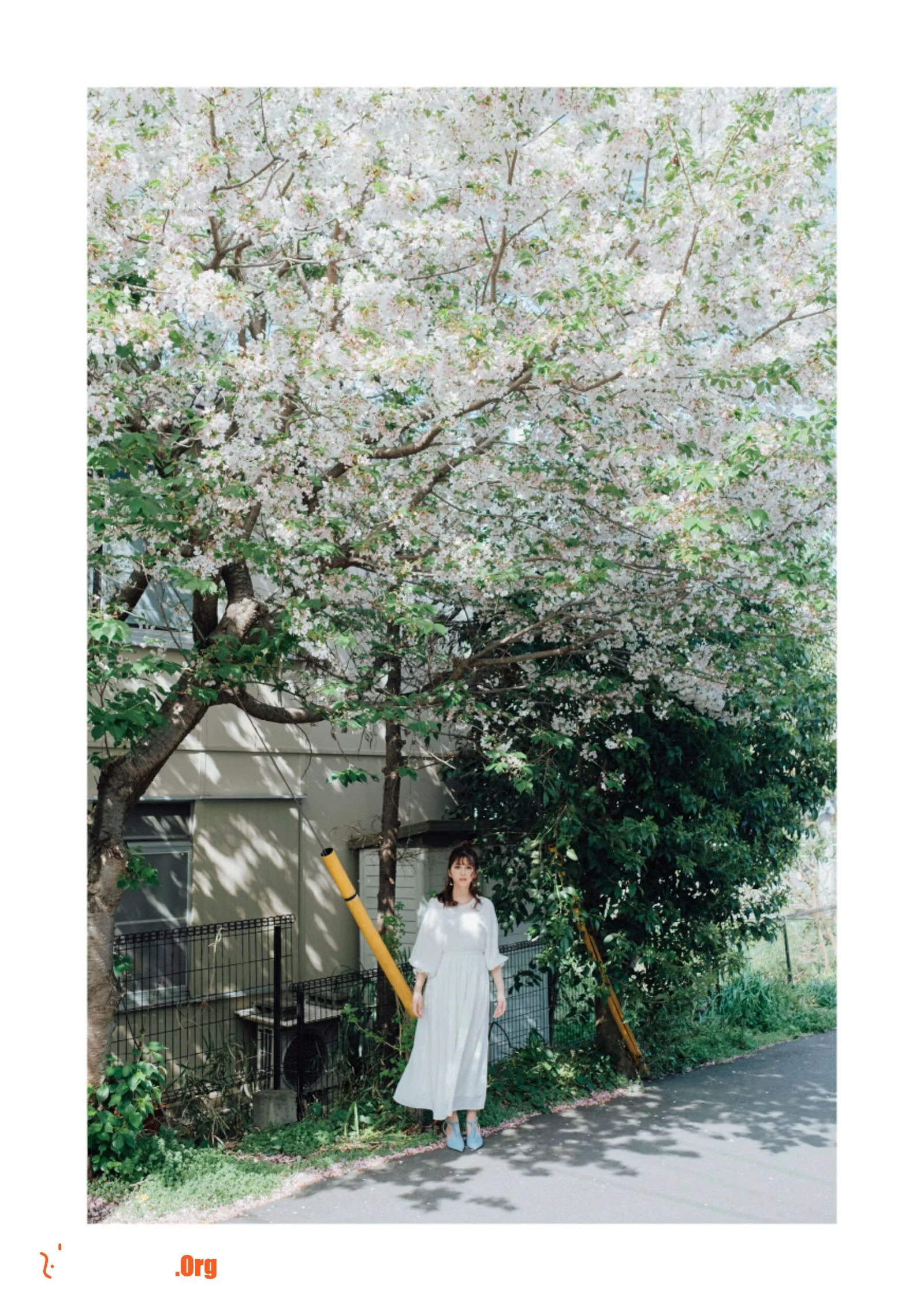 Nanamori Lily: Taken - Photo 3