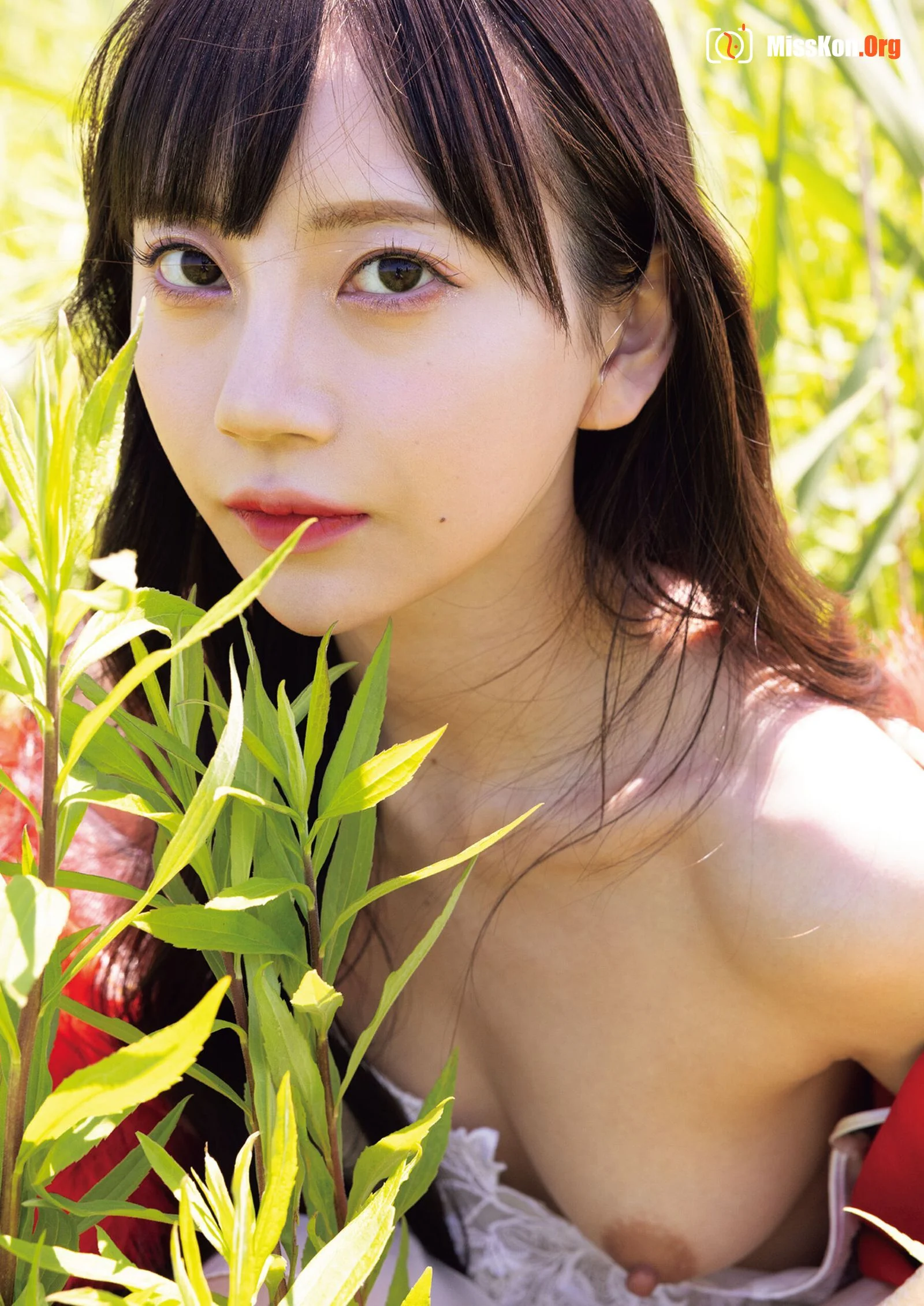 Nanazamiya: Evergreen - Photo 10