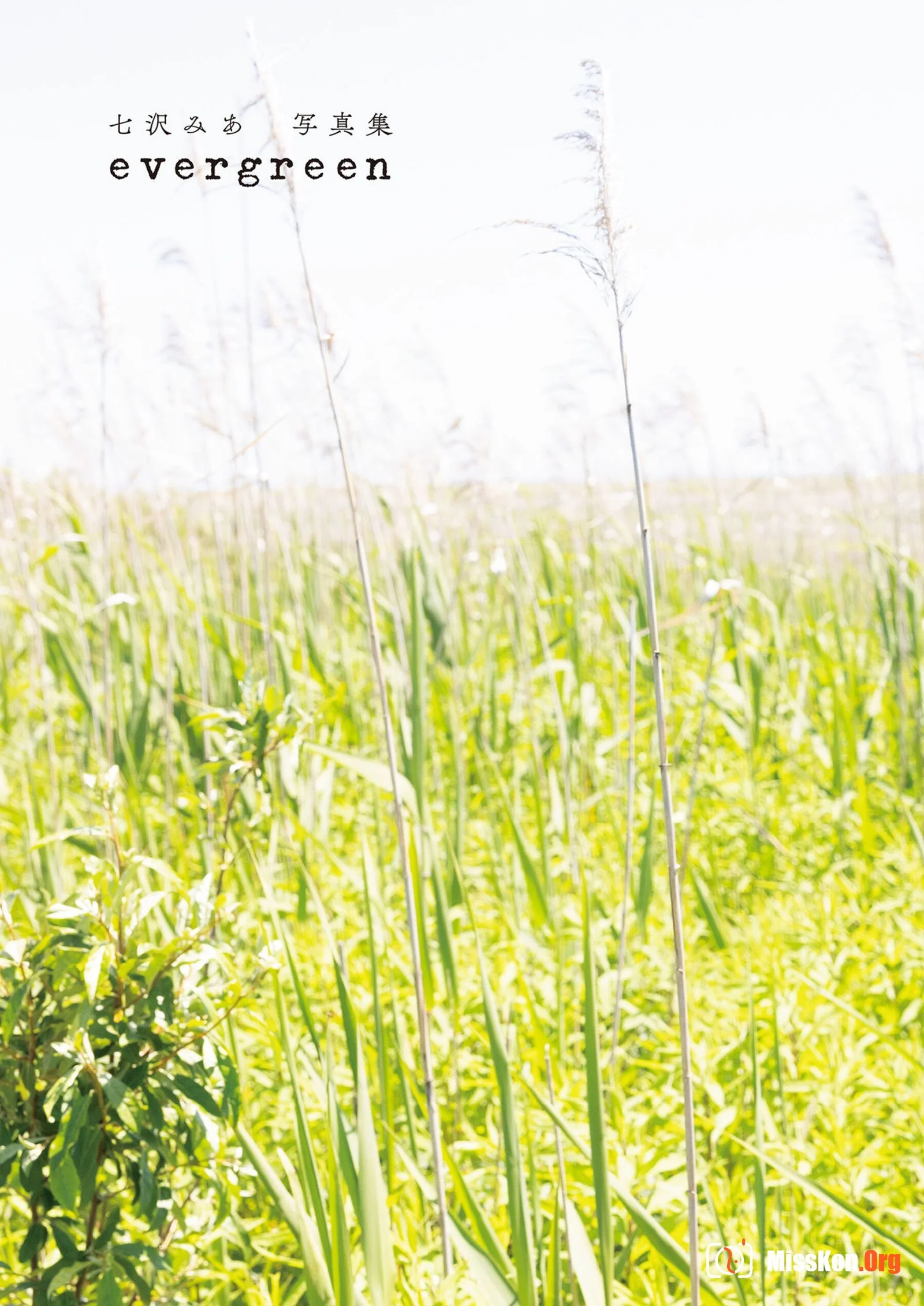 Nanazamiya: Evergreen - Photo 5