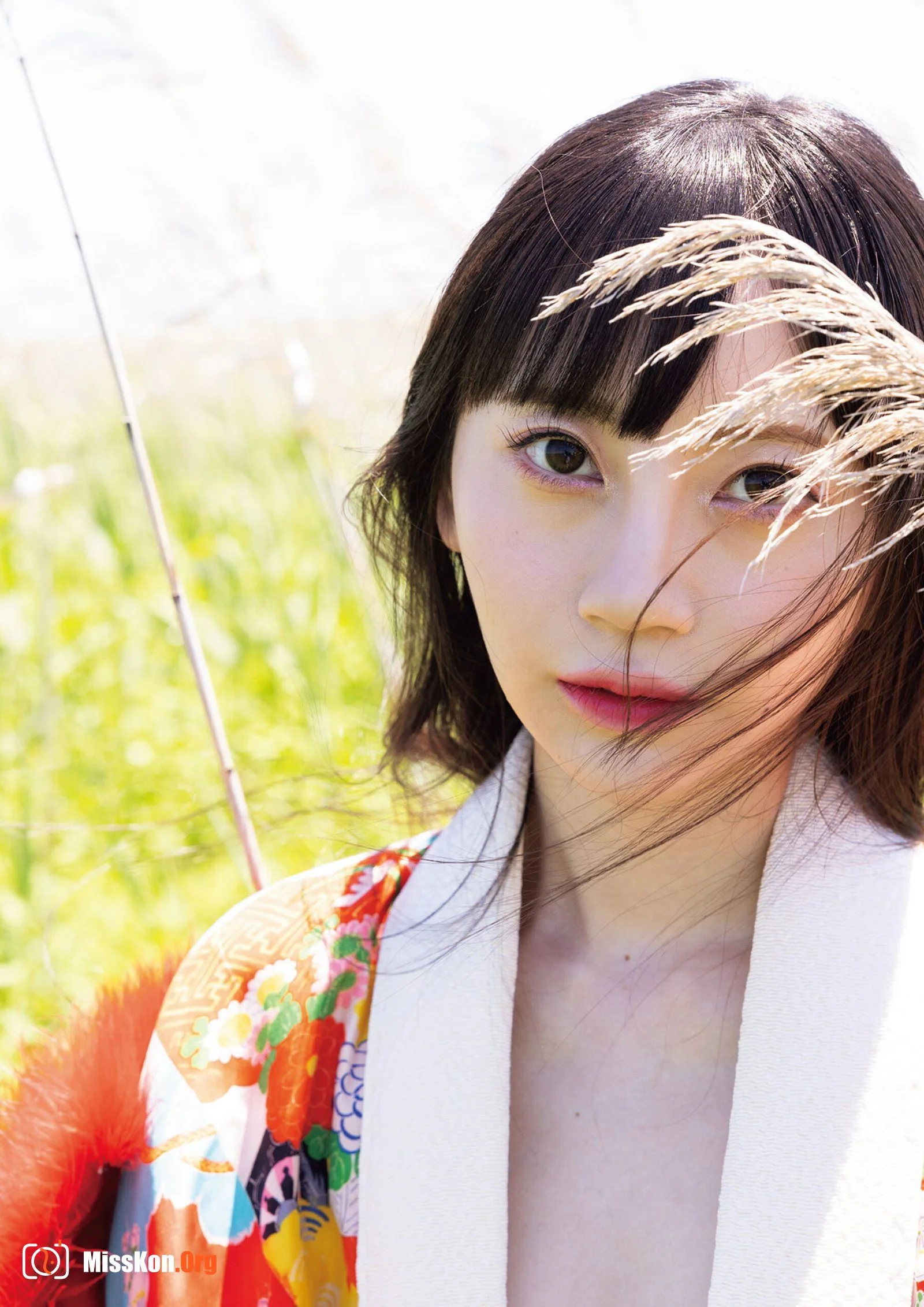 Nanazamiya: Evergreen - Photo 7