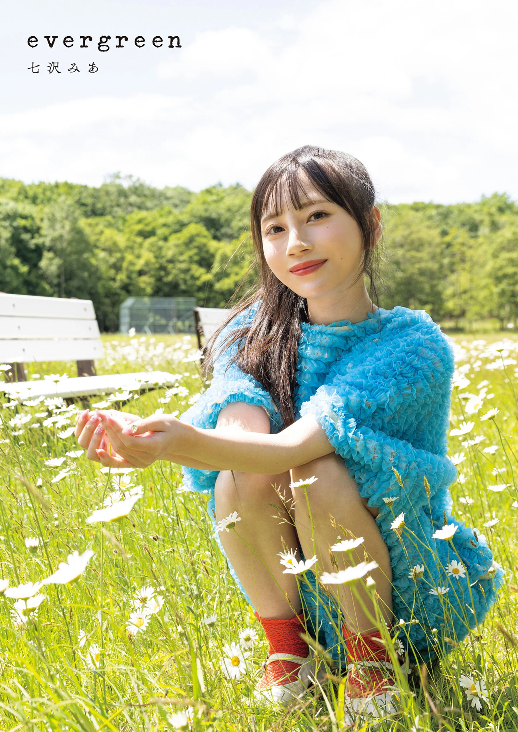 Nanazamiya: Evergreen